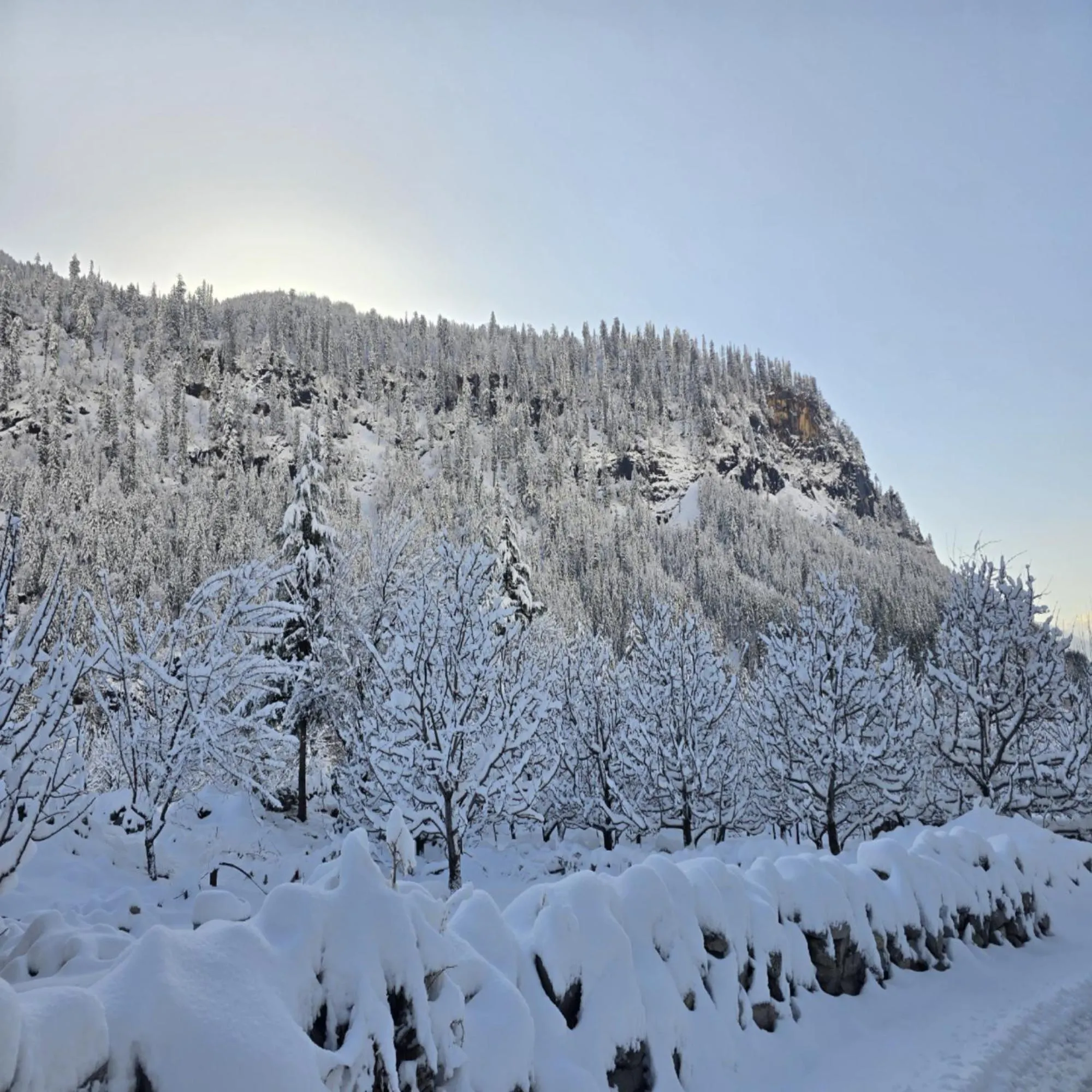 Natural landscape in MB Igloo Resort