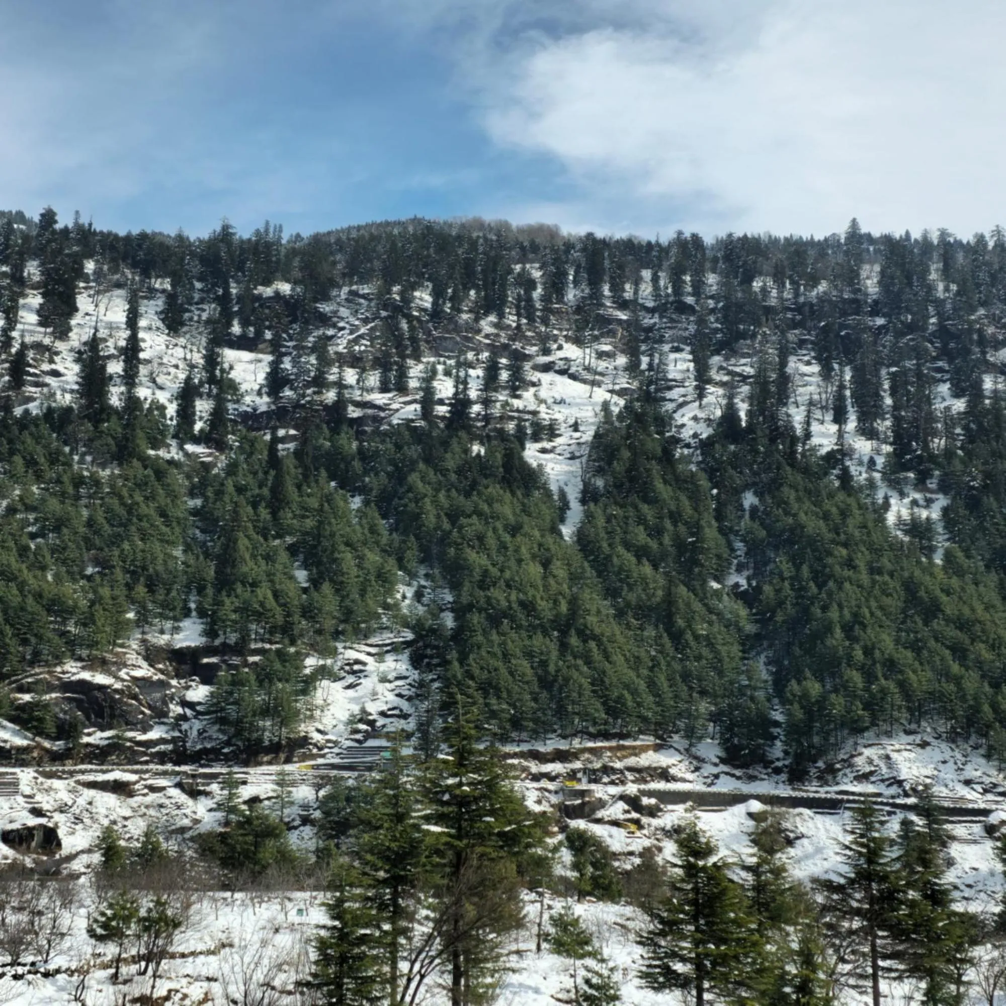 Natural landscape in MB Igloo Resort