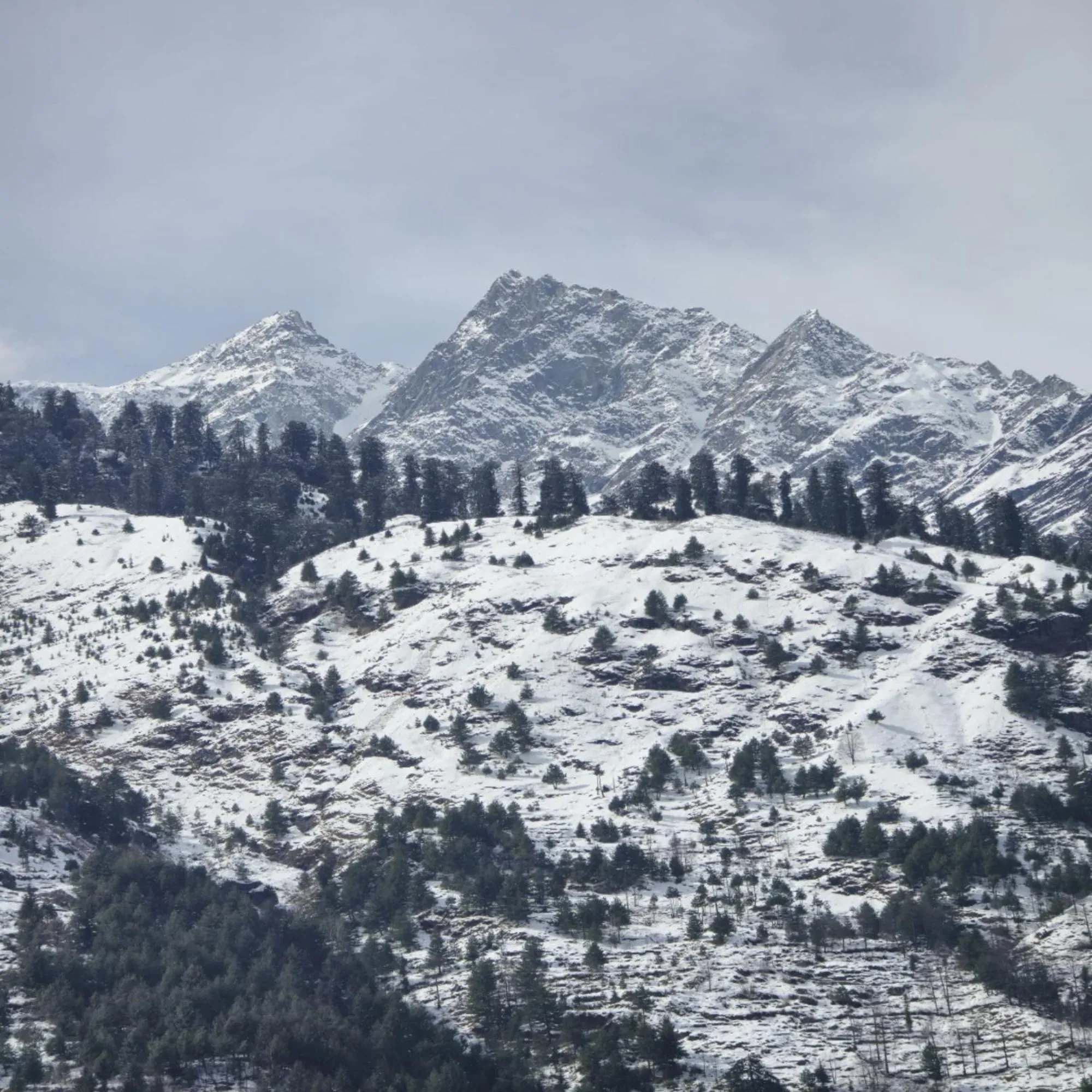 Winter in MB Igloo Resort