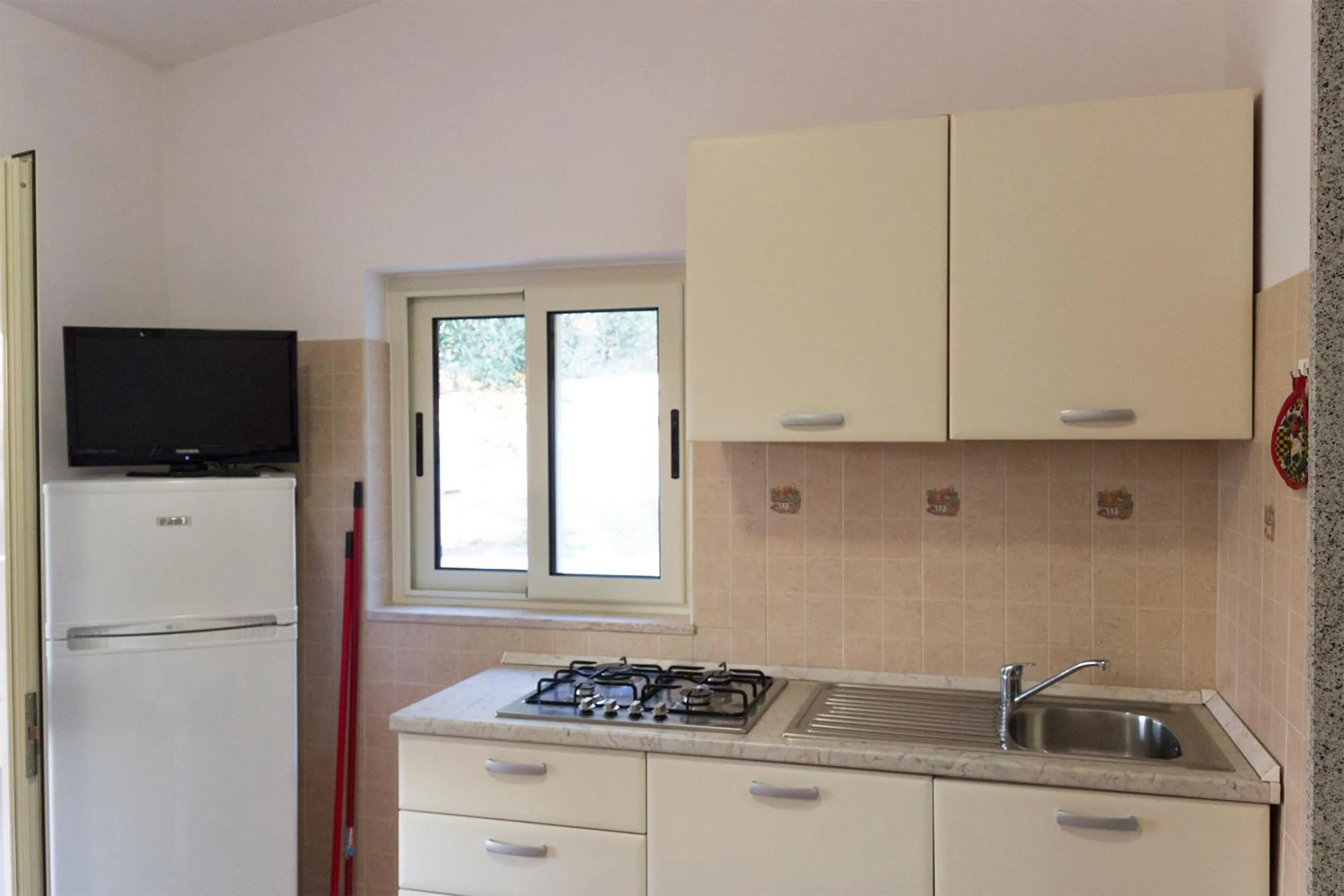 Kitchen or kitchenette in Villa Celeste Apartments Vieste -