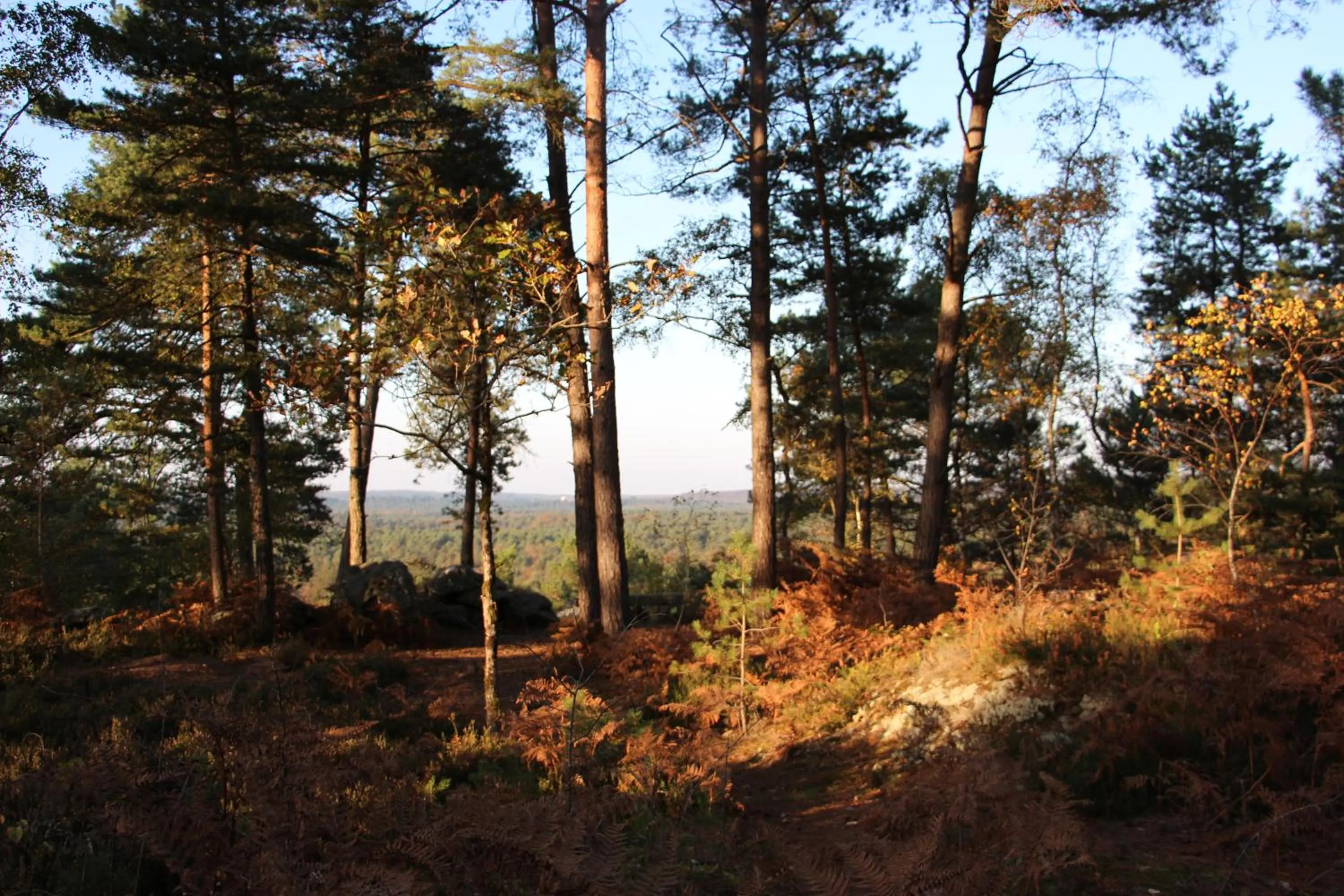 Nearby landmark in L'Alisier Chantant