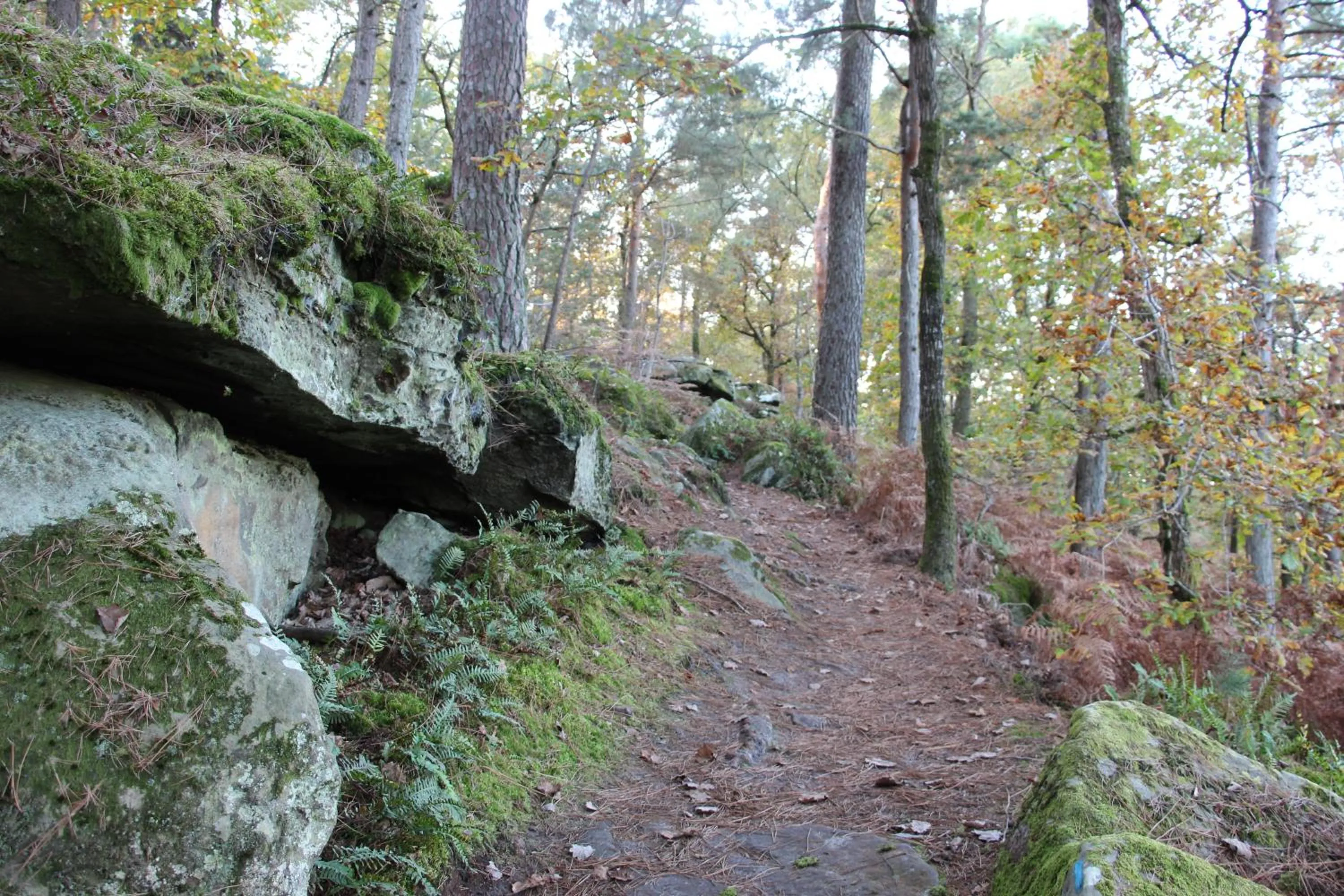Hiking in L'Alisier Chantant