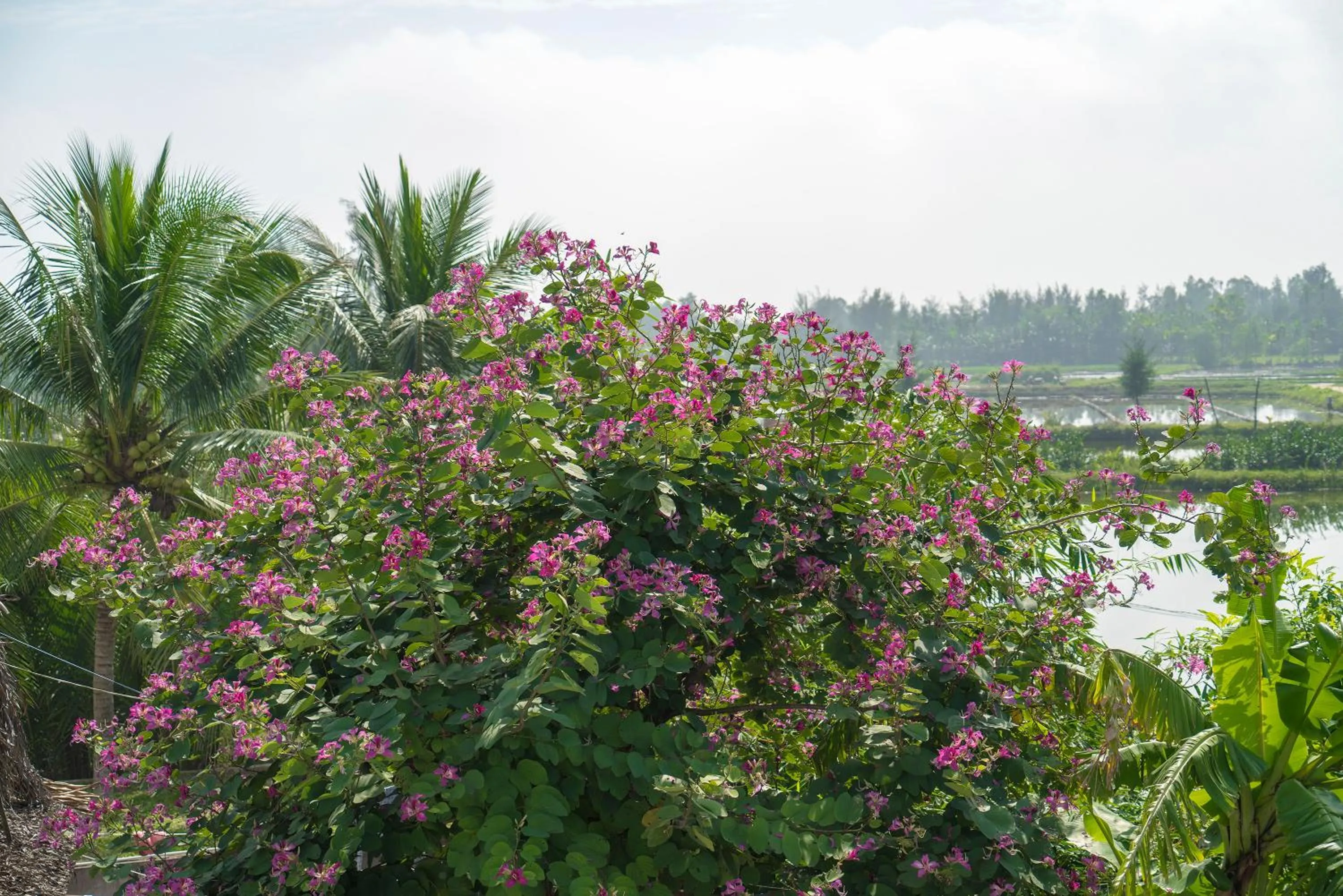 Decorative detail in Luna Villa