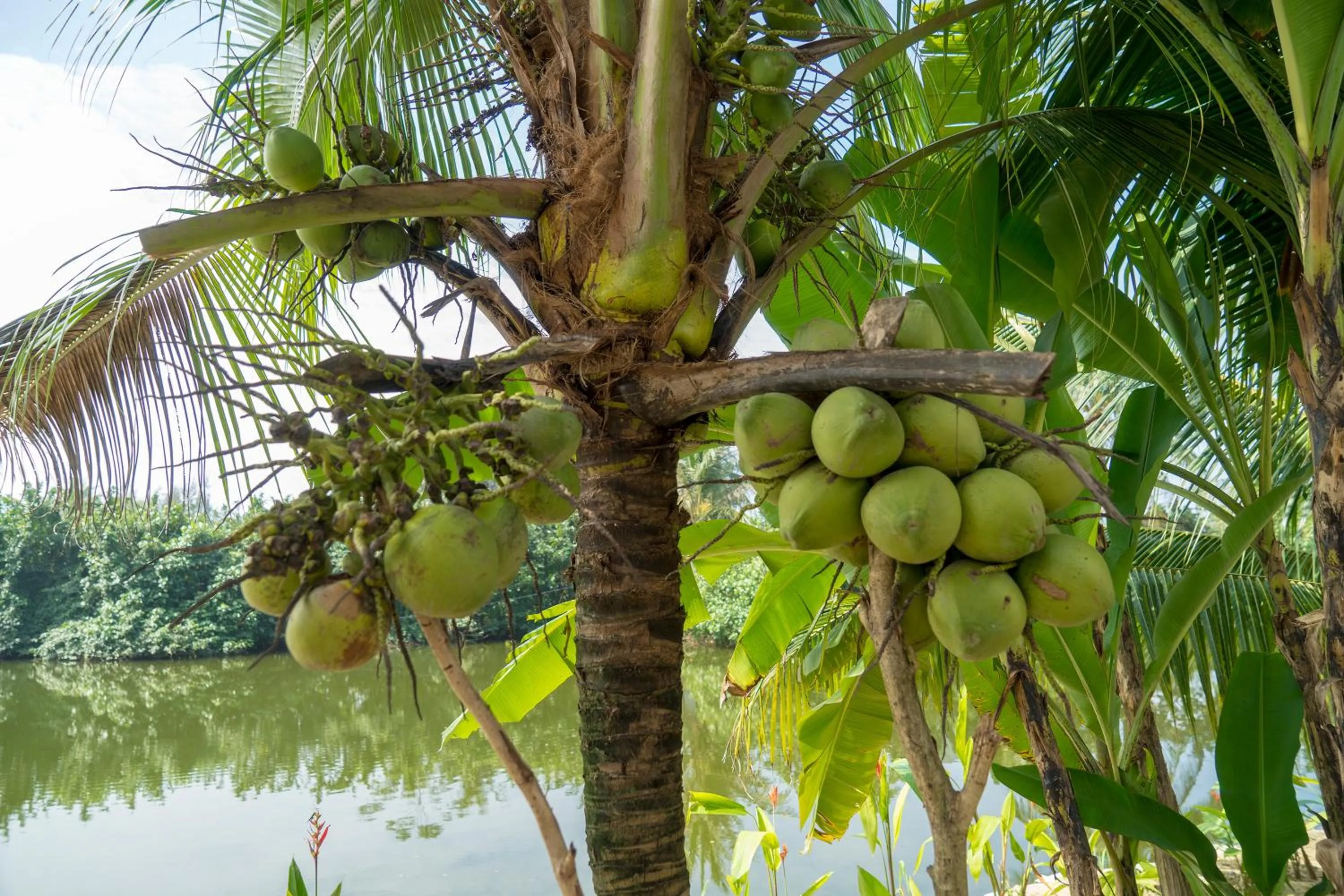 Decorative detail in Luna Villa