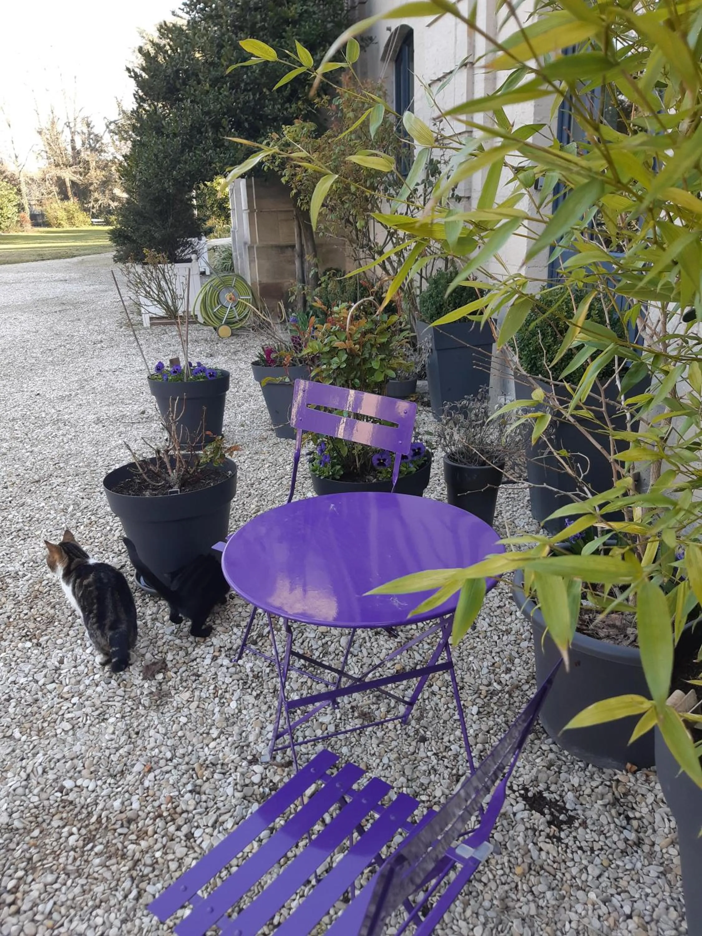 Property building in La Maison Dans le Parc