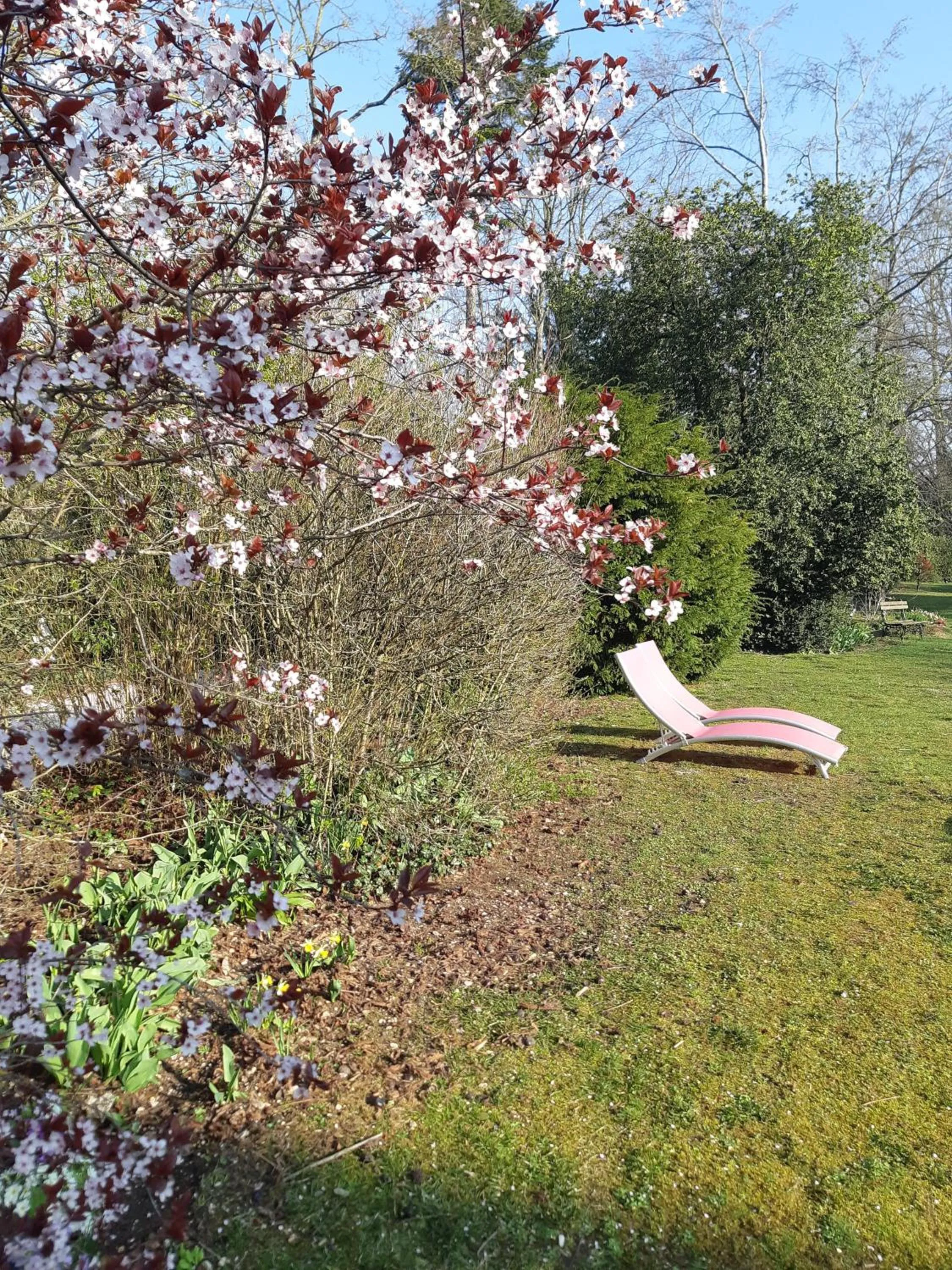Property building, Garden in La Maison Dans le Parc