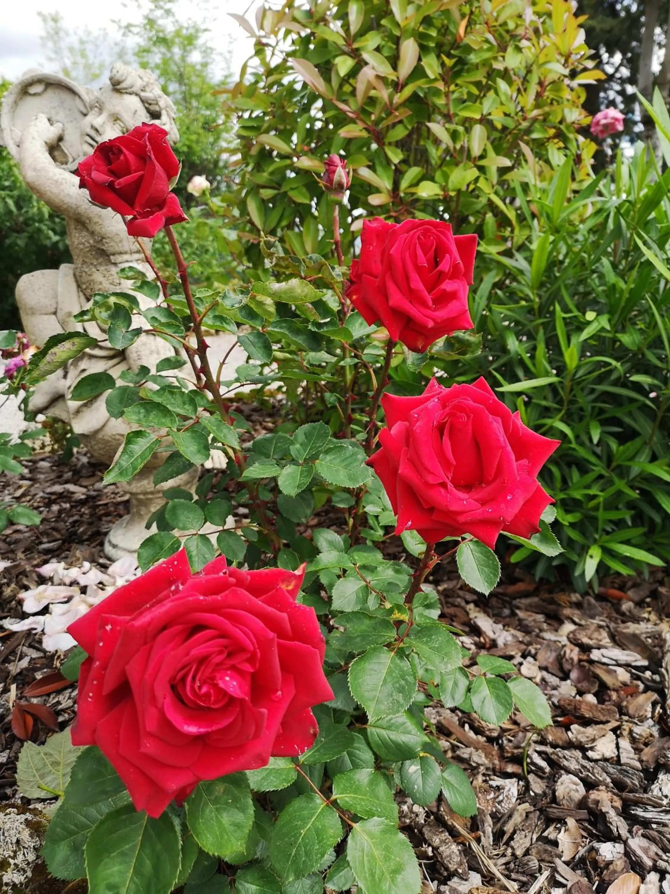 Summer in Il Casale Del Cotone