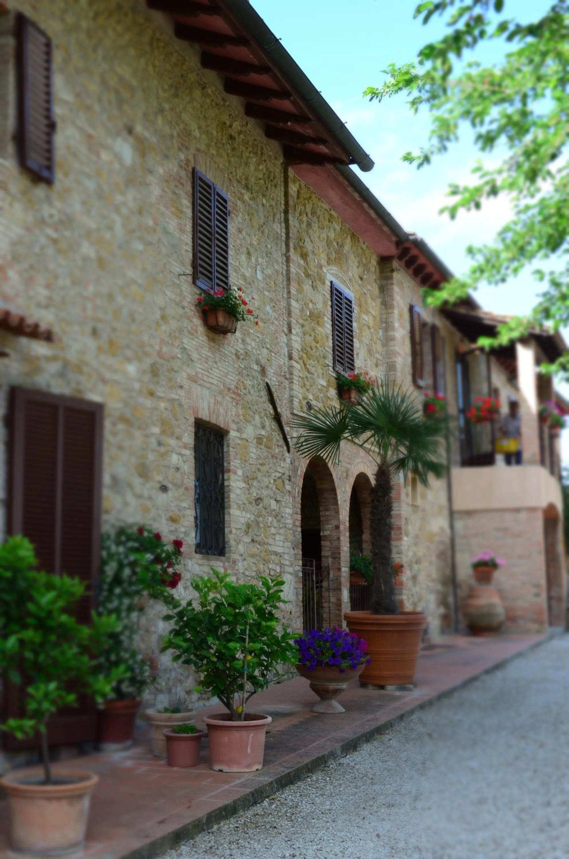 Il Casale Del Cotone