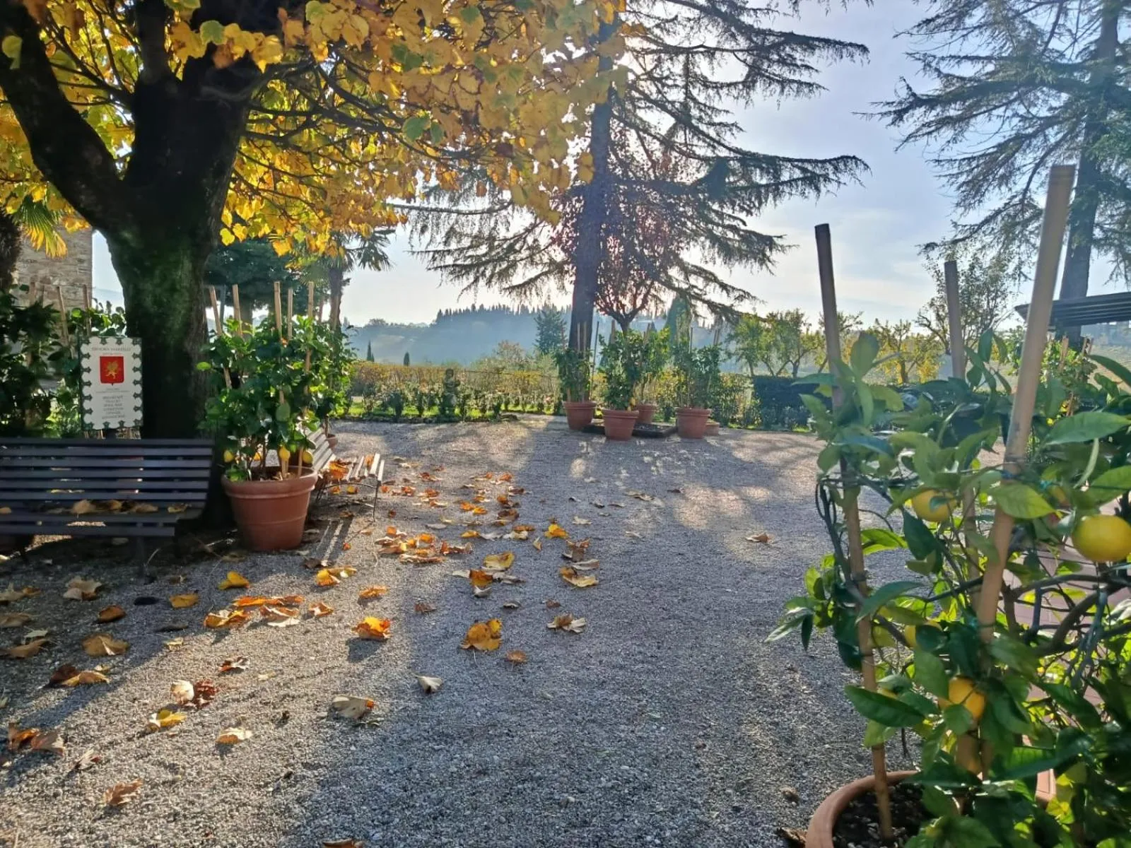 Il Casale Del Cotone