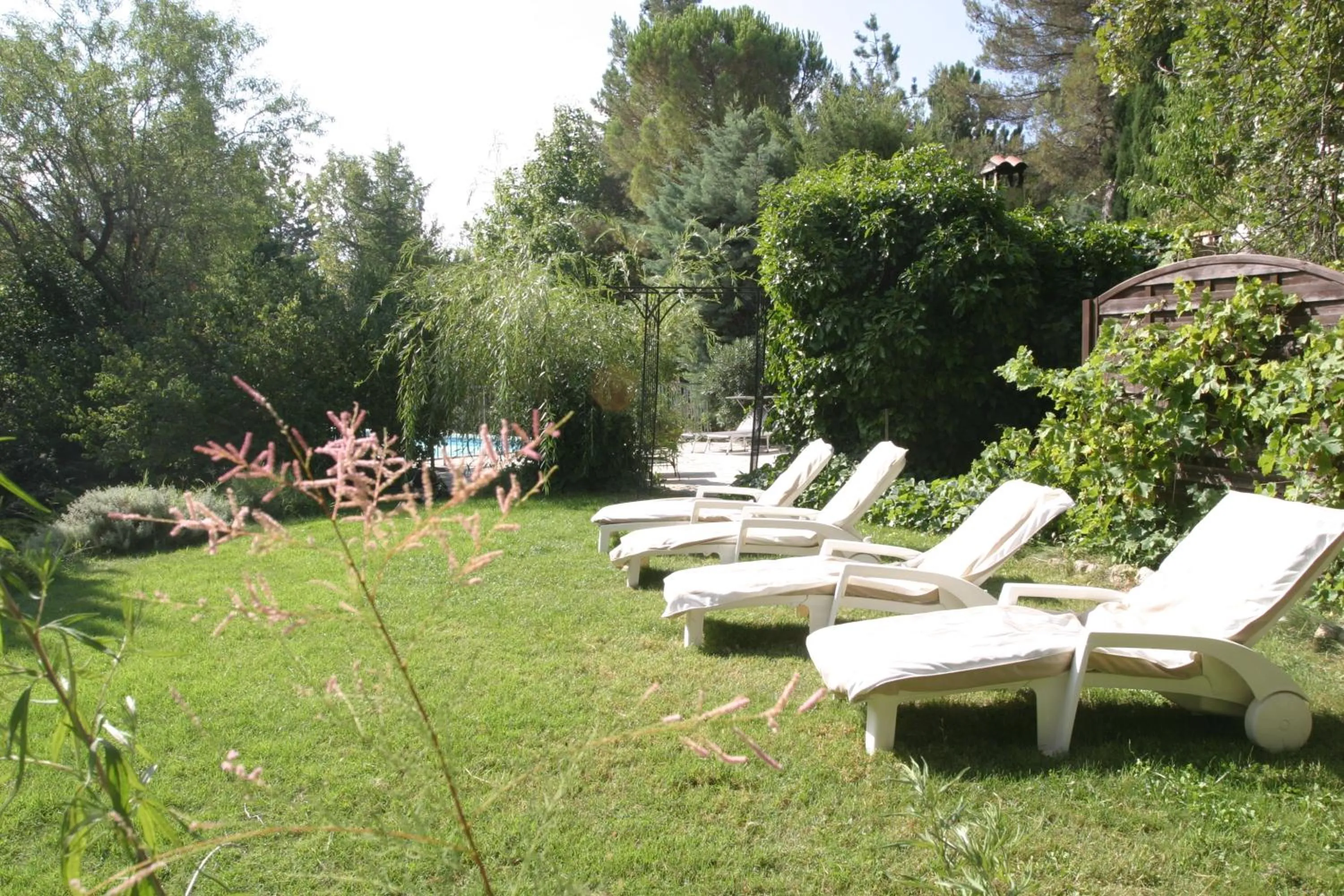 Garden in Le Laou