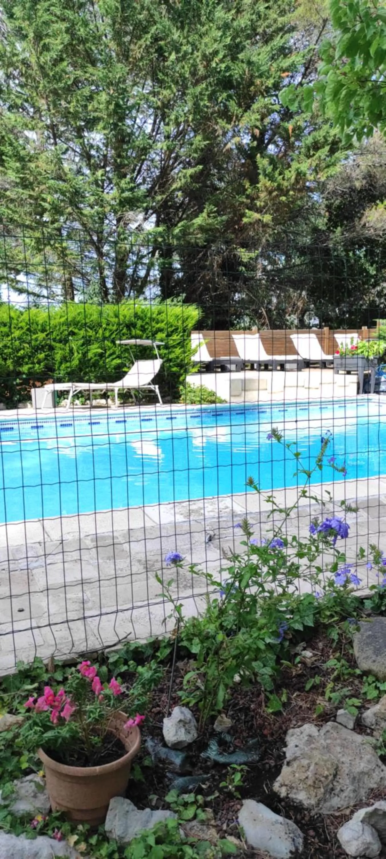 Swimming pool in Le Laou