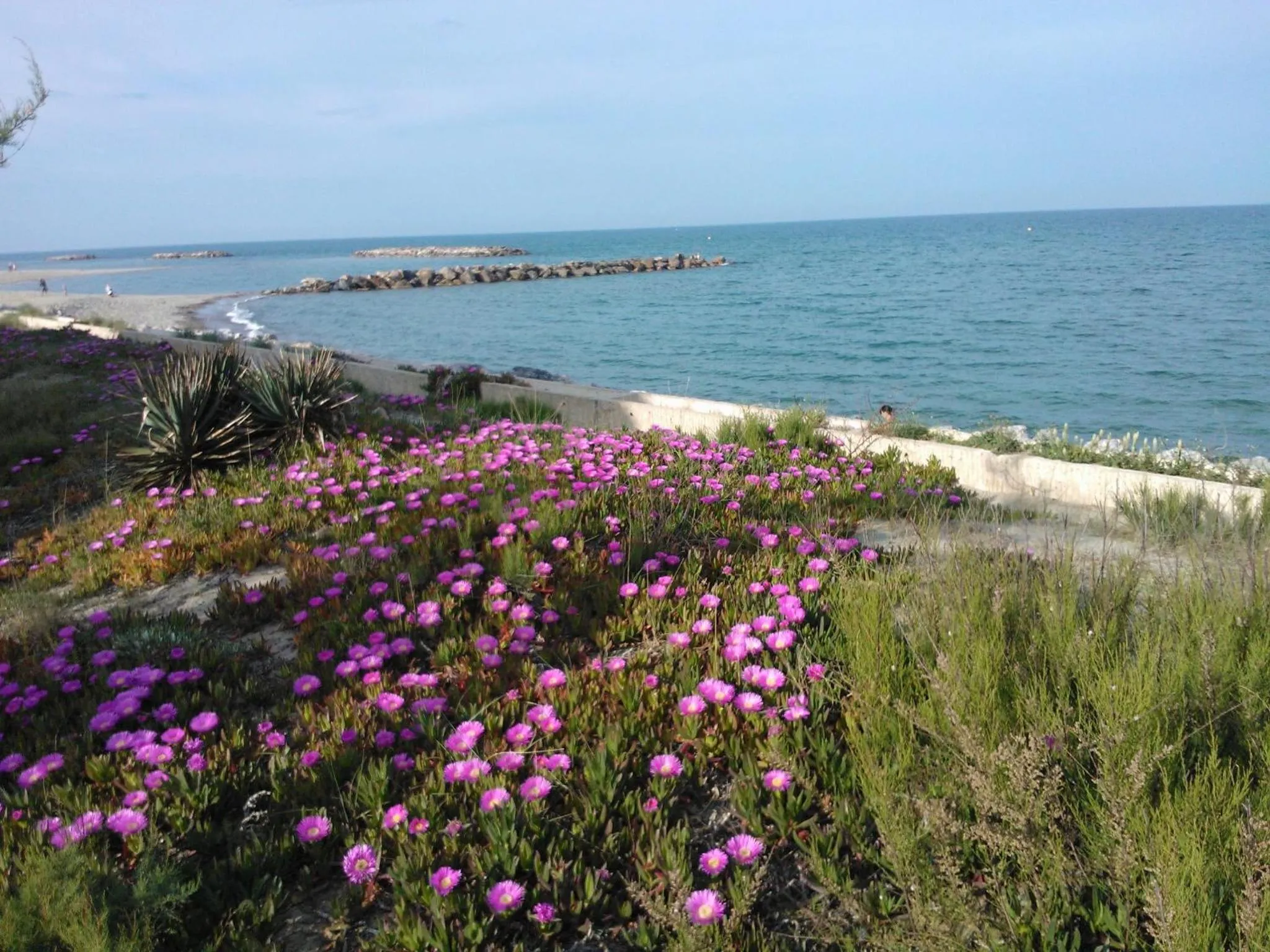 Nearby landmark in Barcaresa-Magnifique Appartement residence Argonautes