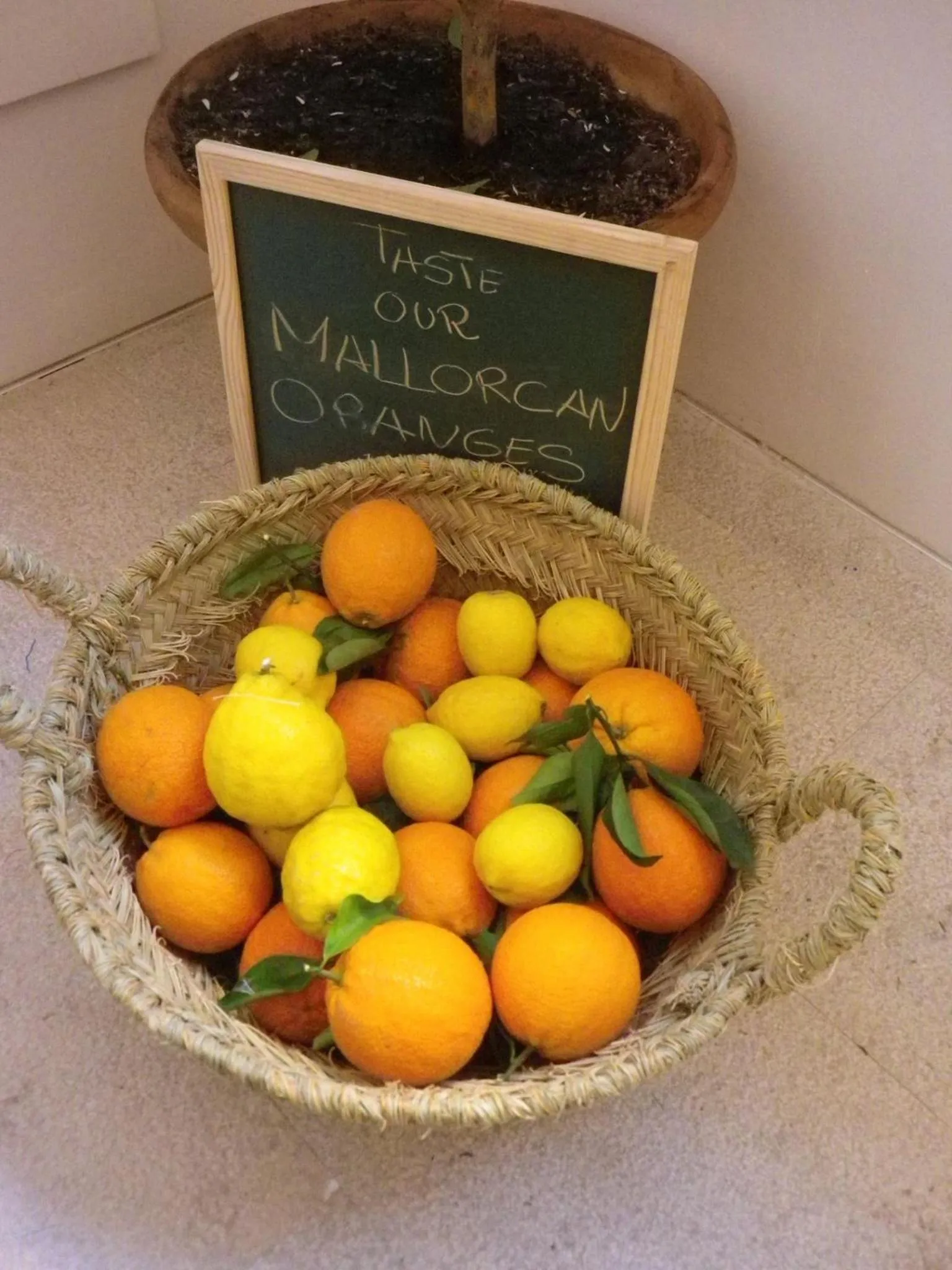 Food close-up in Can Blau Homes Turismo de Interior