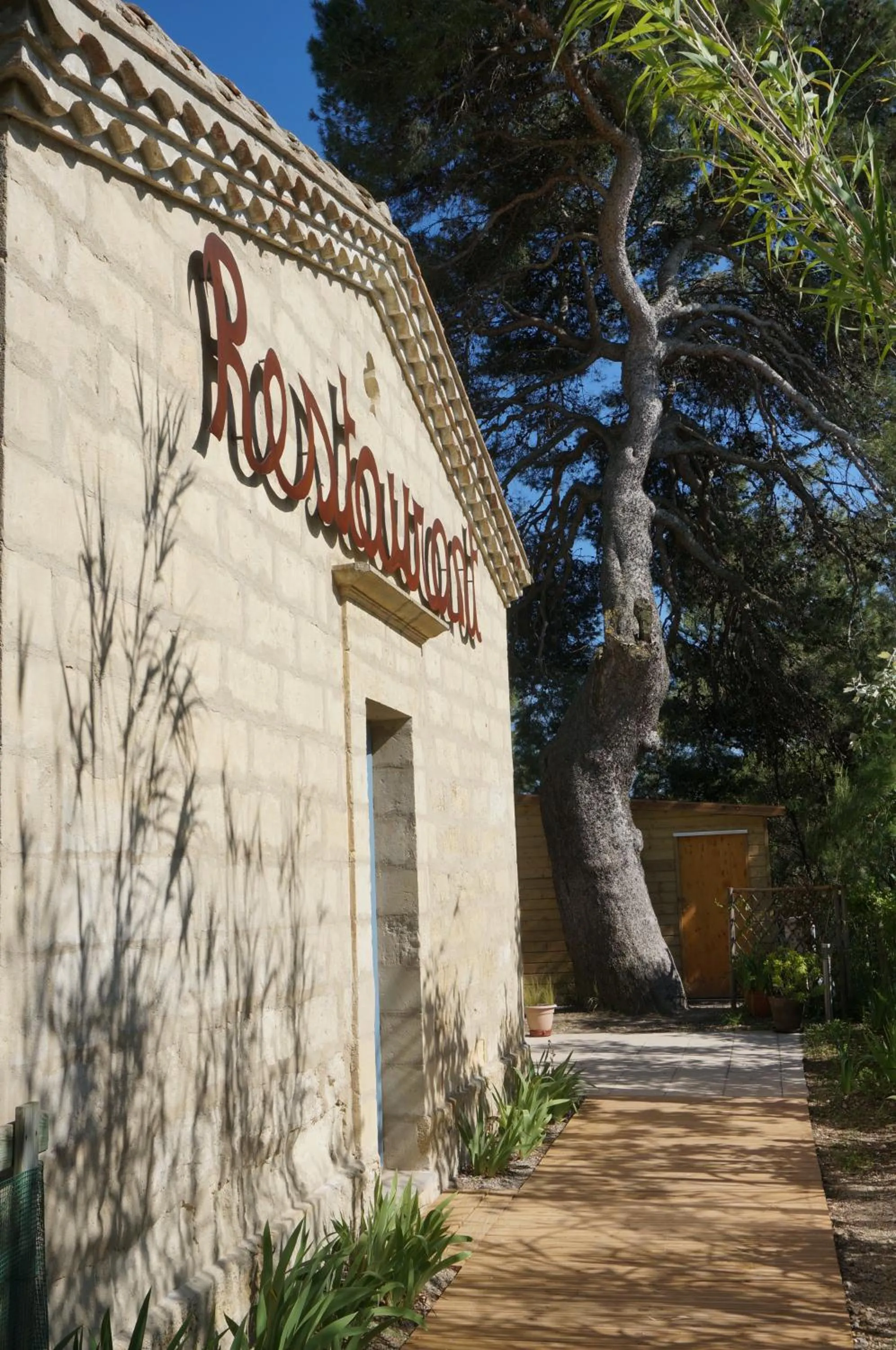 Day in Mas de la Tour Carbonnière