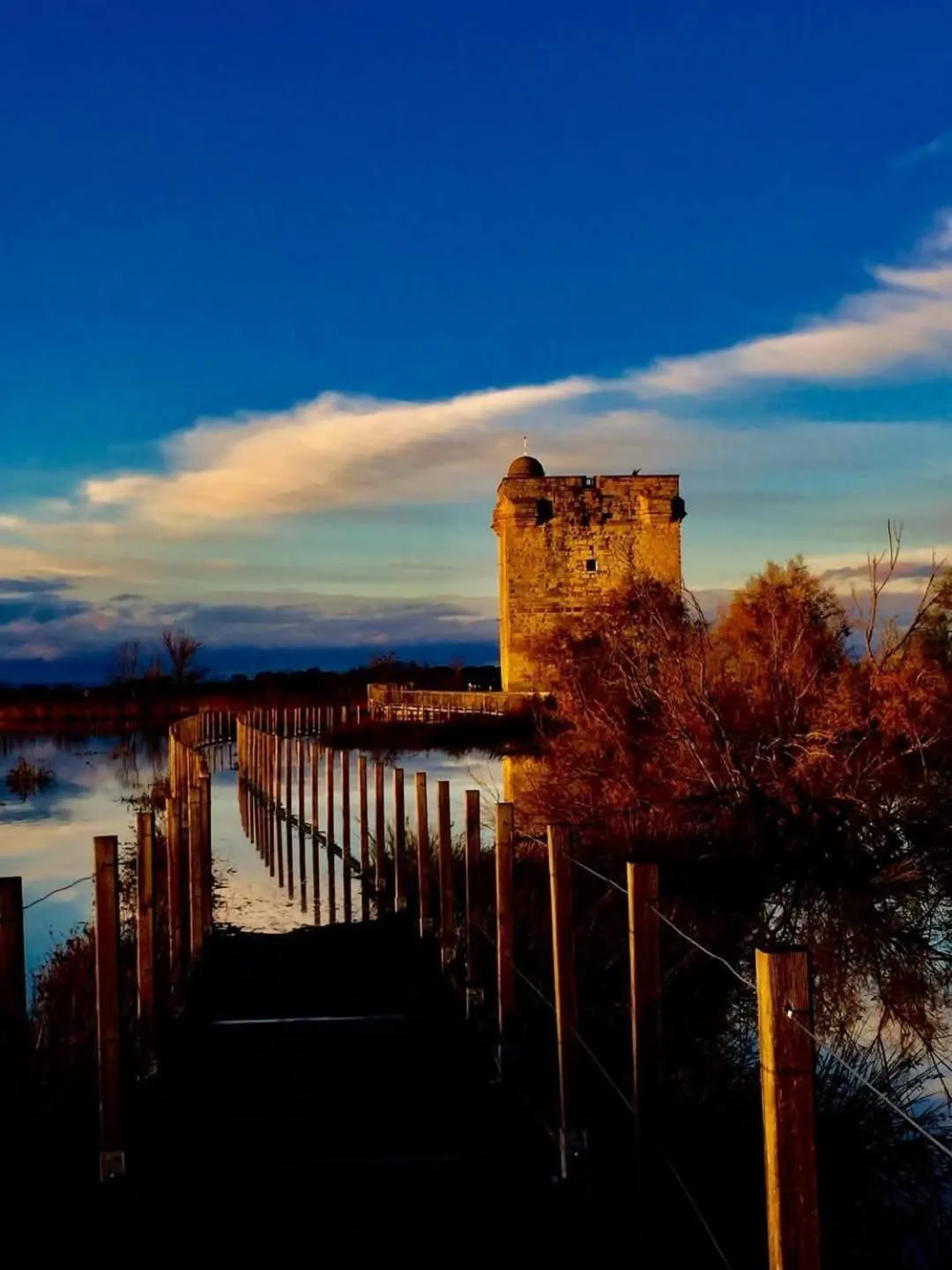 Mas de la Tour Carbonnière