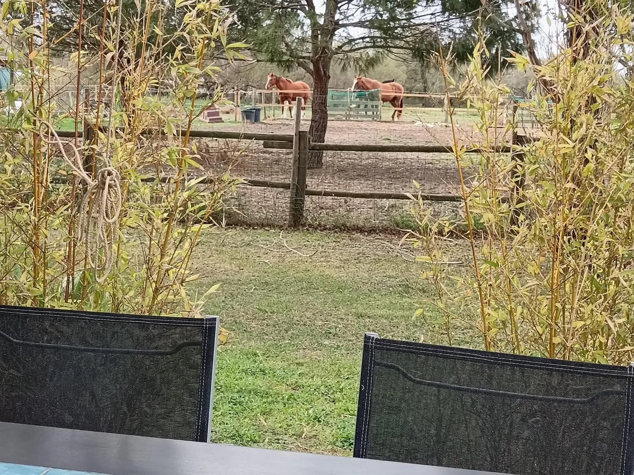 Mas de la Tour Carbonnière