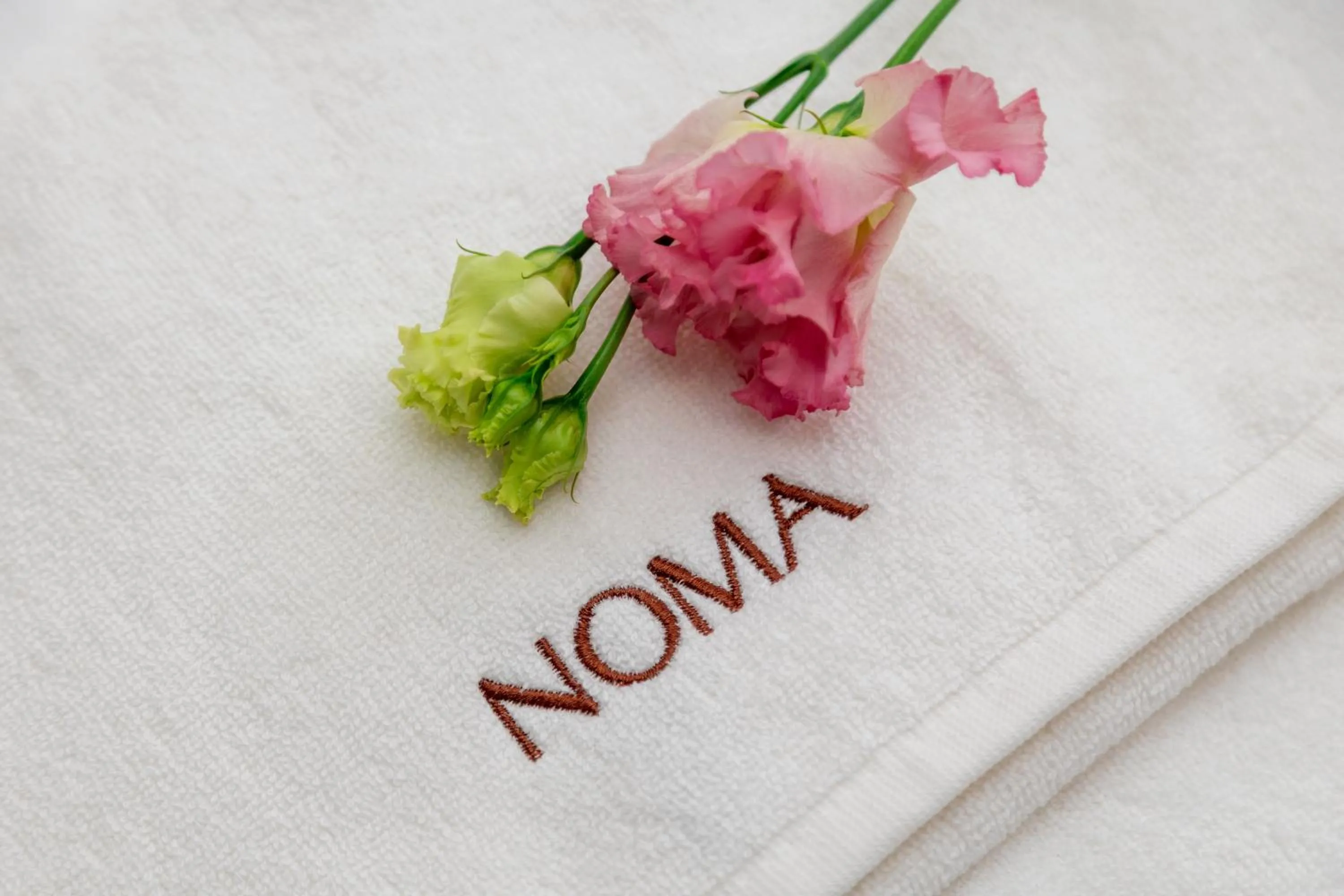 Property logo or sign in Noma Boutique Hotel - Adults only