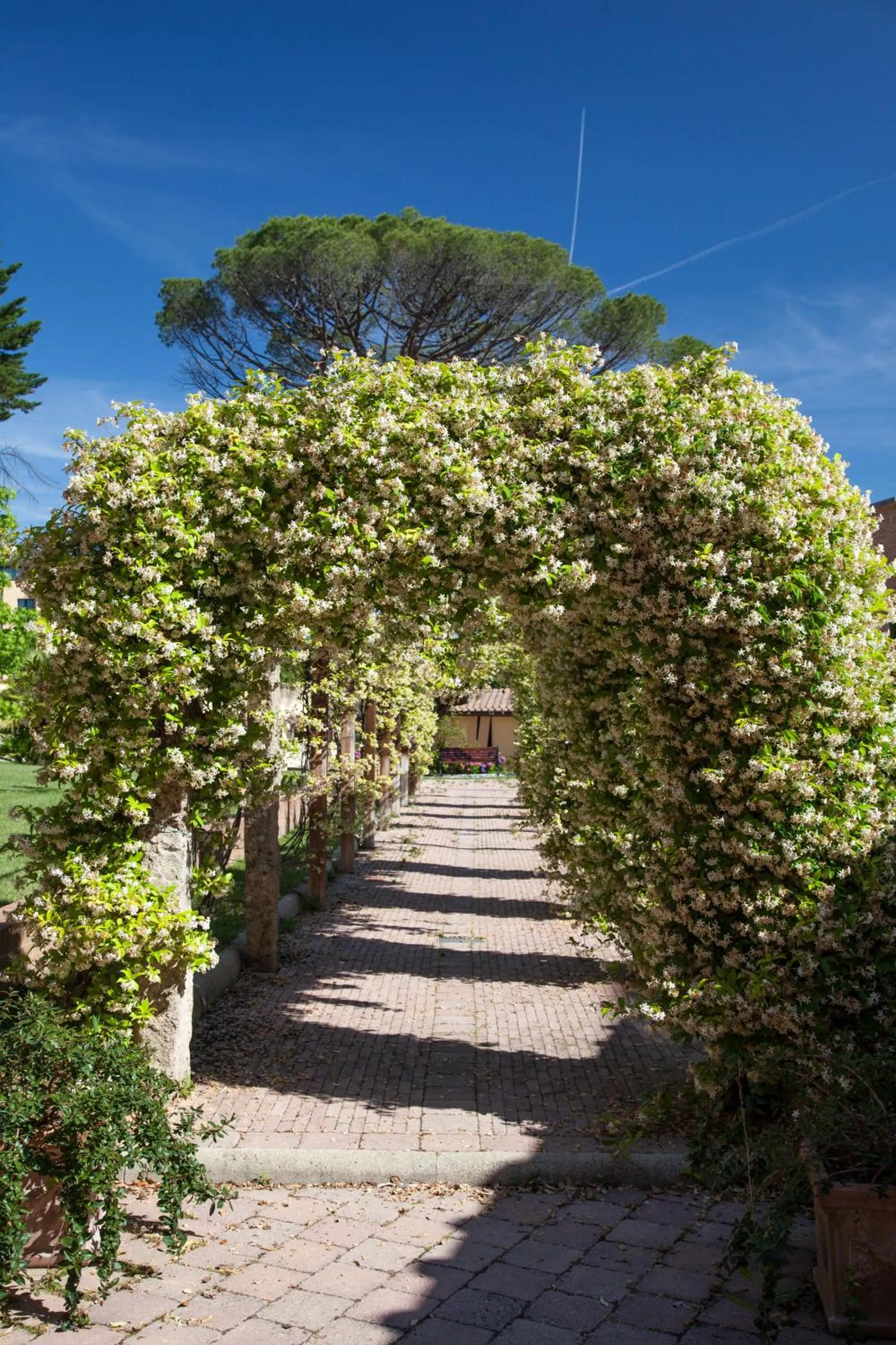Garden in Villa Borri