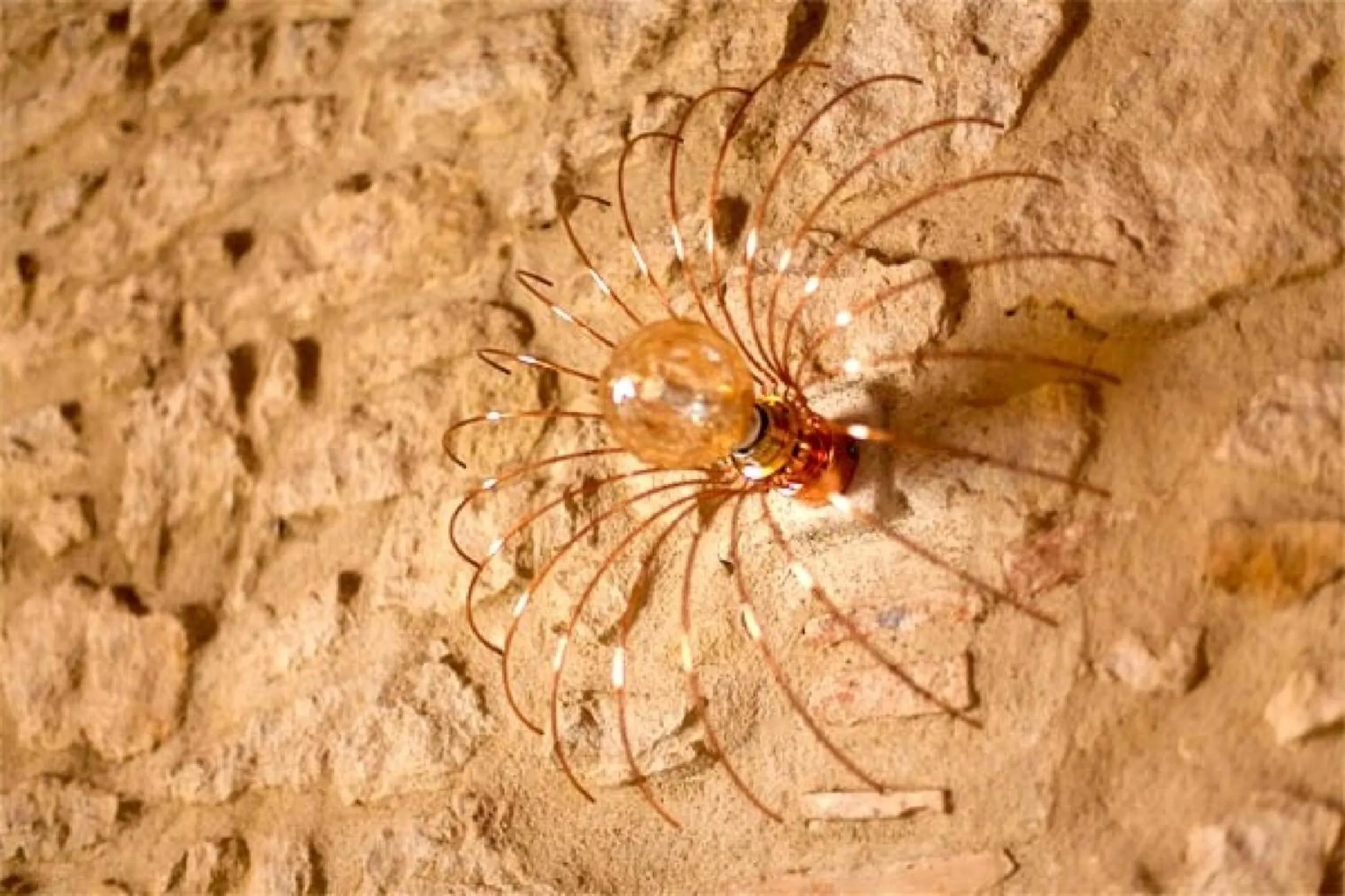 Decorative detail in Petit Pals