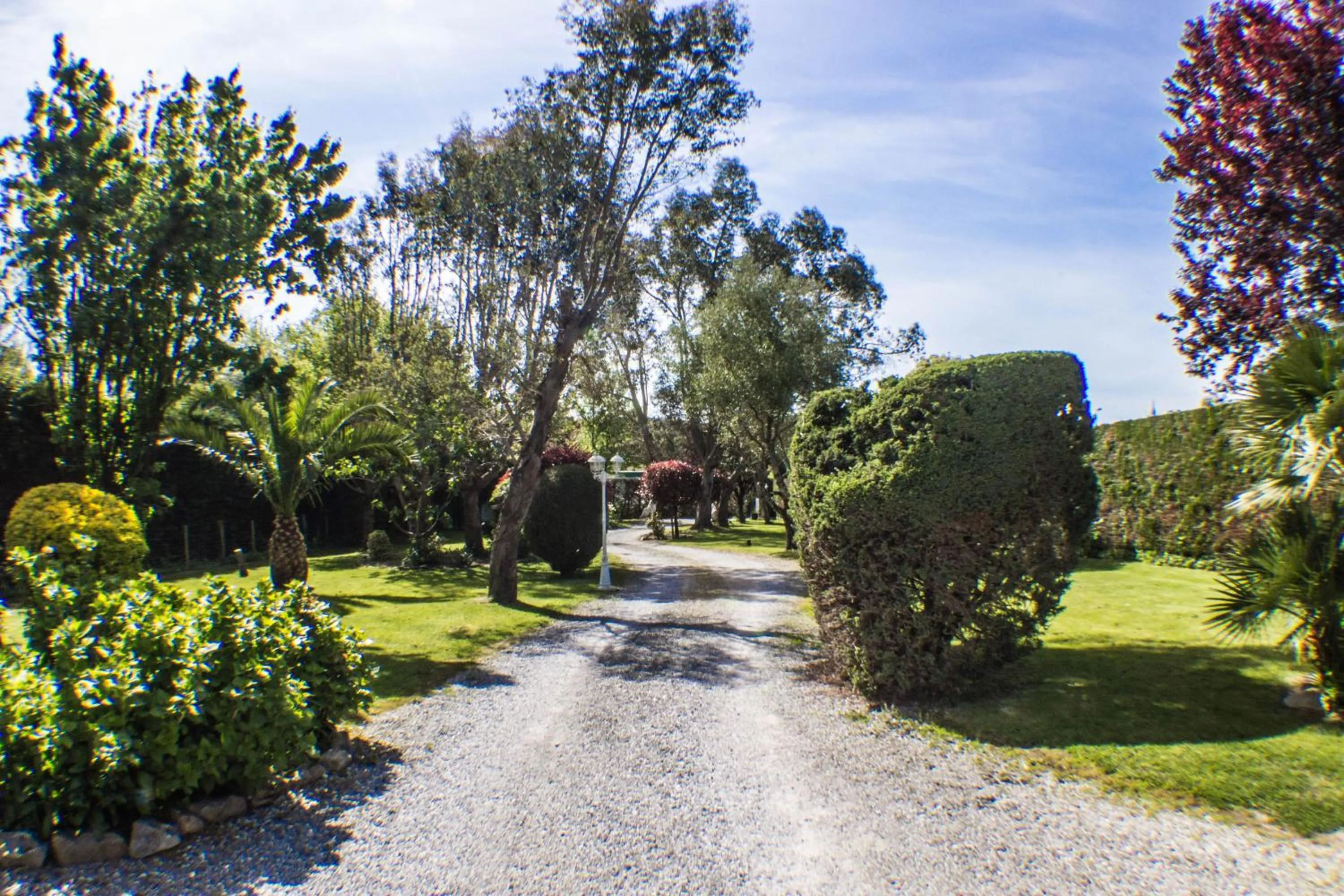 Villa Yoda