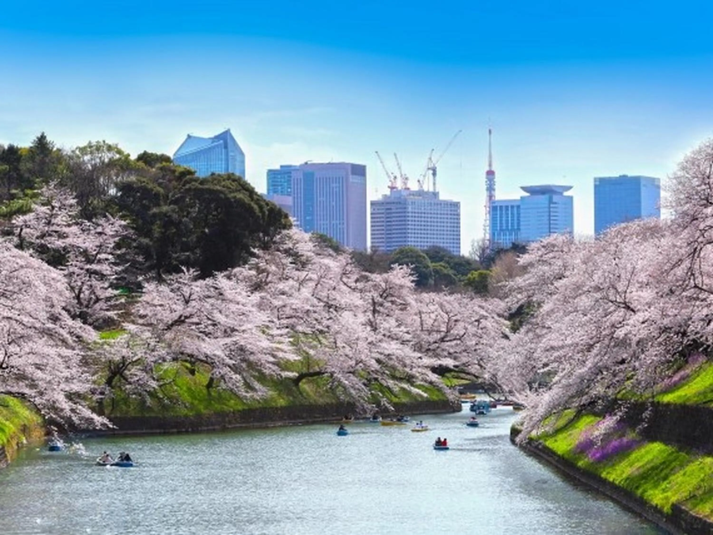 Nearby landmark in APA Hotel Suidobashi Ekimae