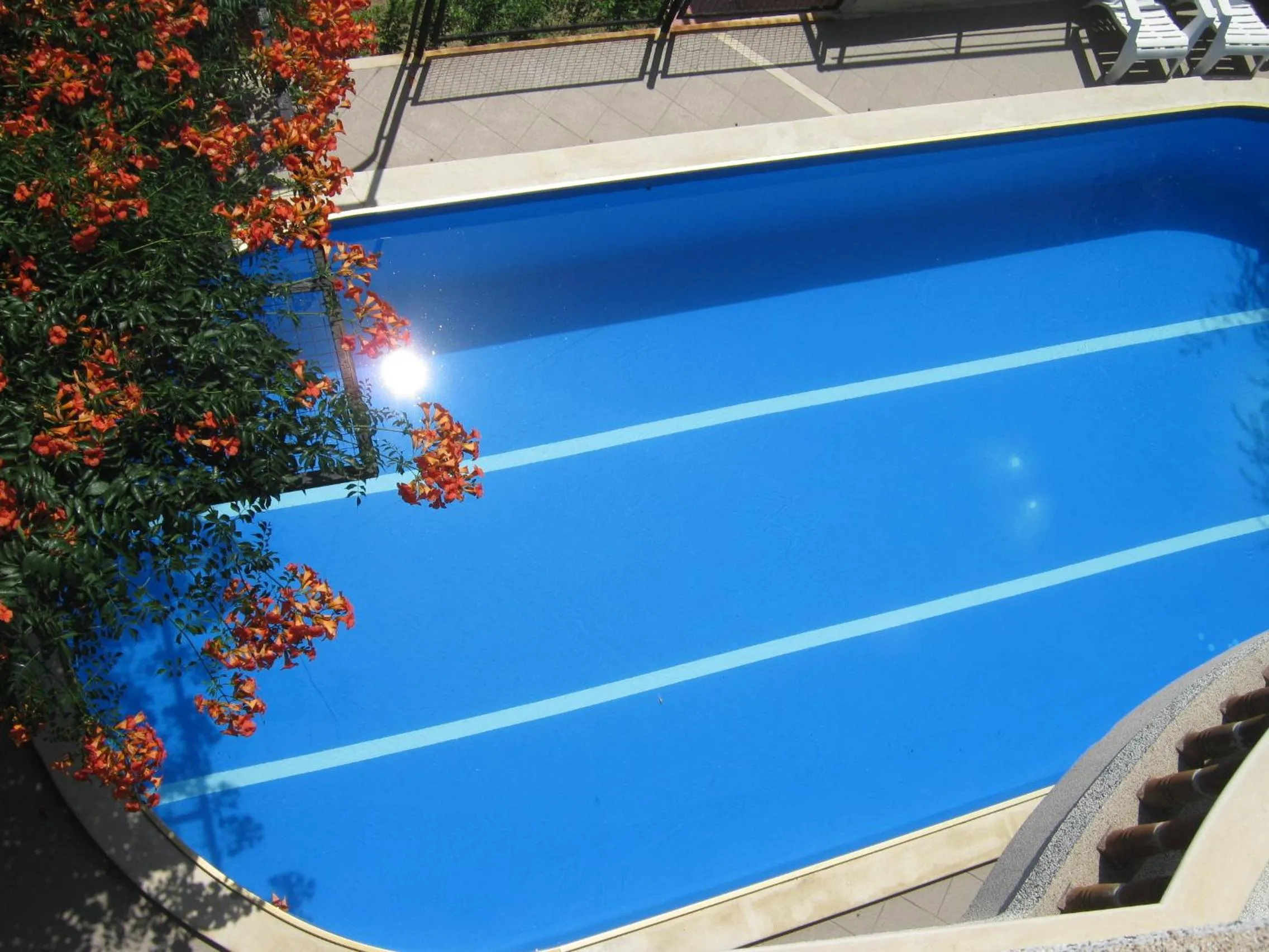 Swimming pool in Hotel Continental