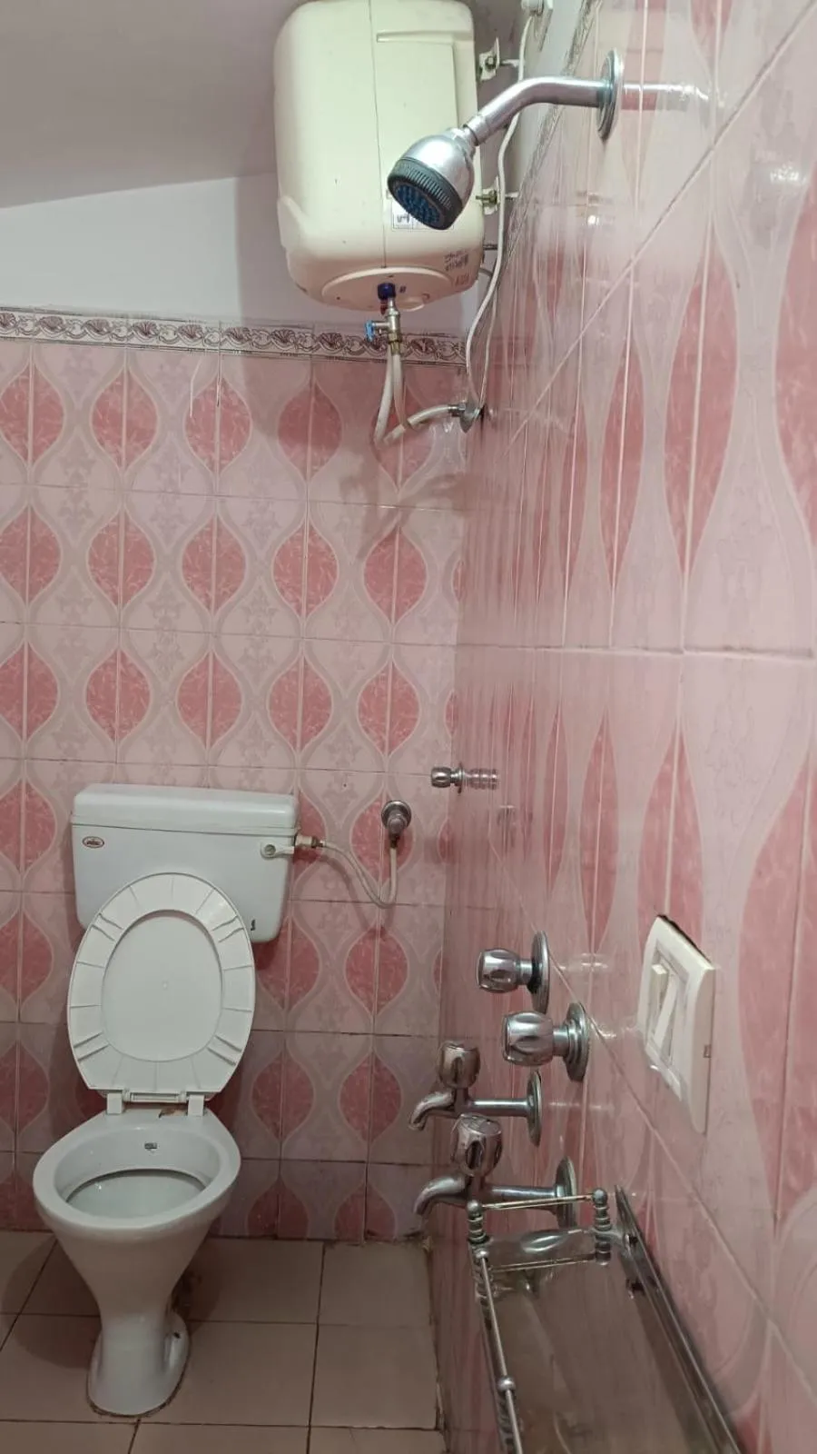 Toilet in Hotel Taj Himalaya