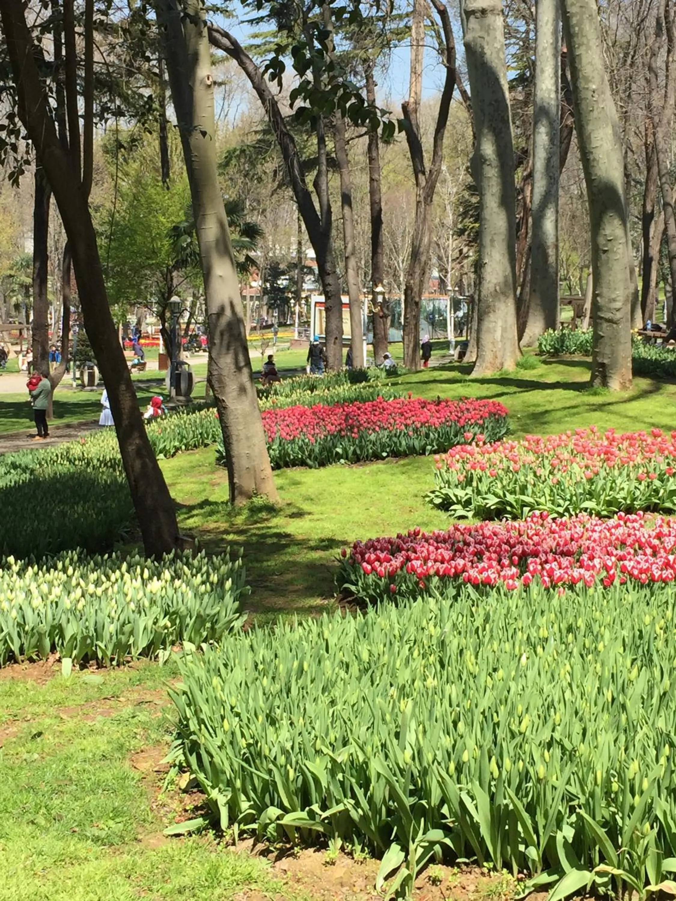 Spring in Barbera Hotel