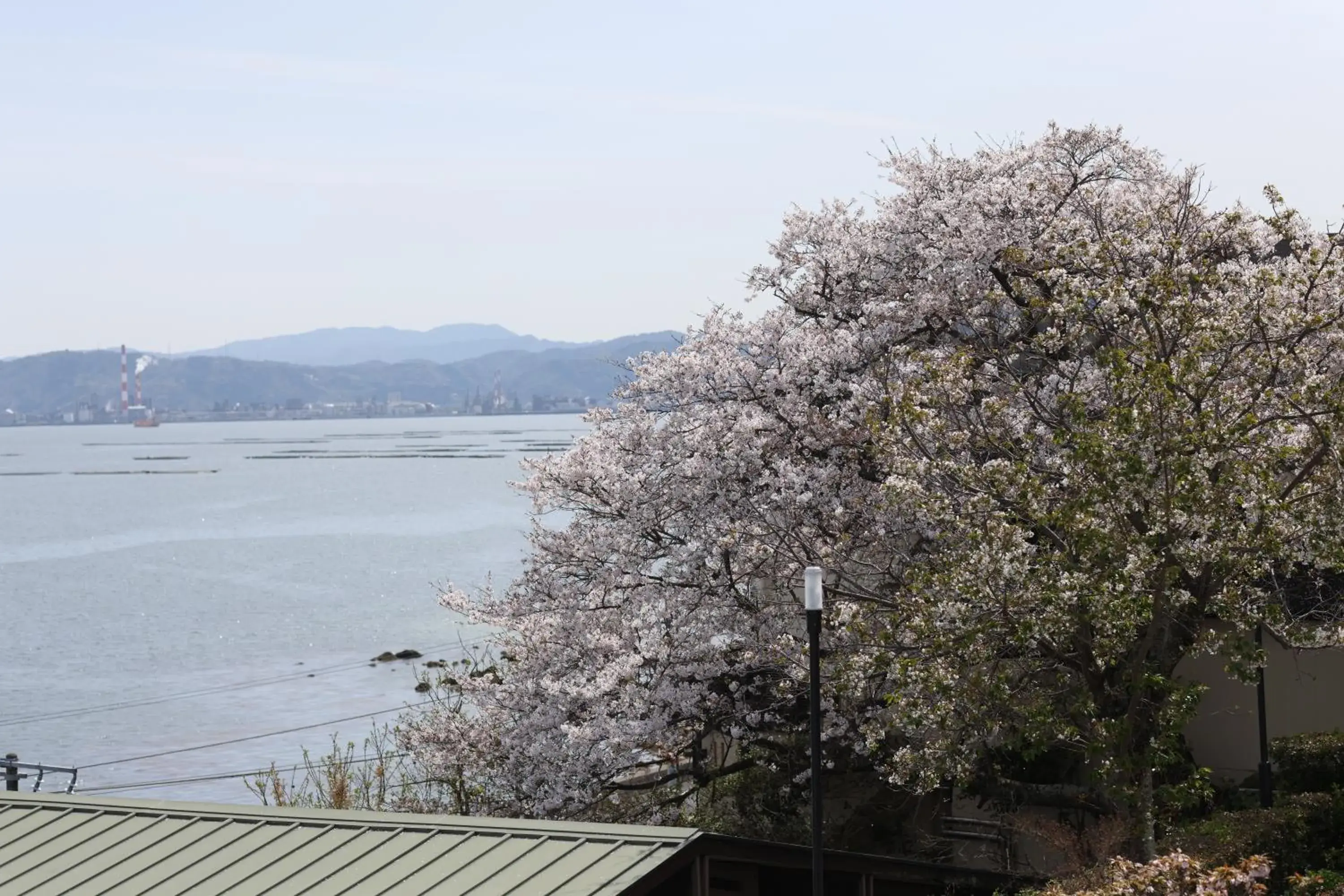 Photo of the whole room in Miyahama Grand Hotel Photo of the whole room in Miyahama Grand Hotel