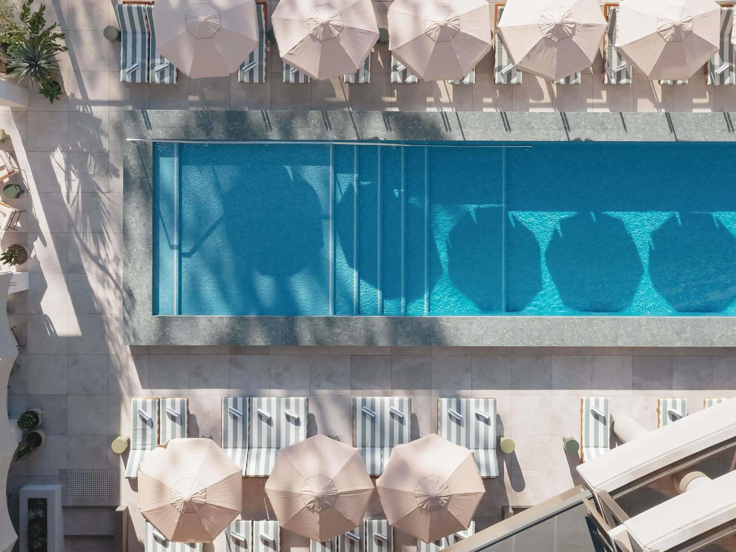 Pool view in Mondrian Gold Coast