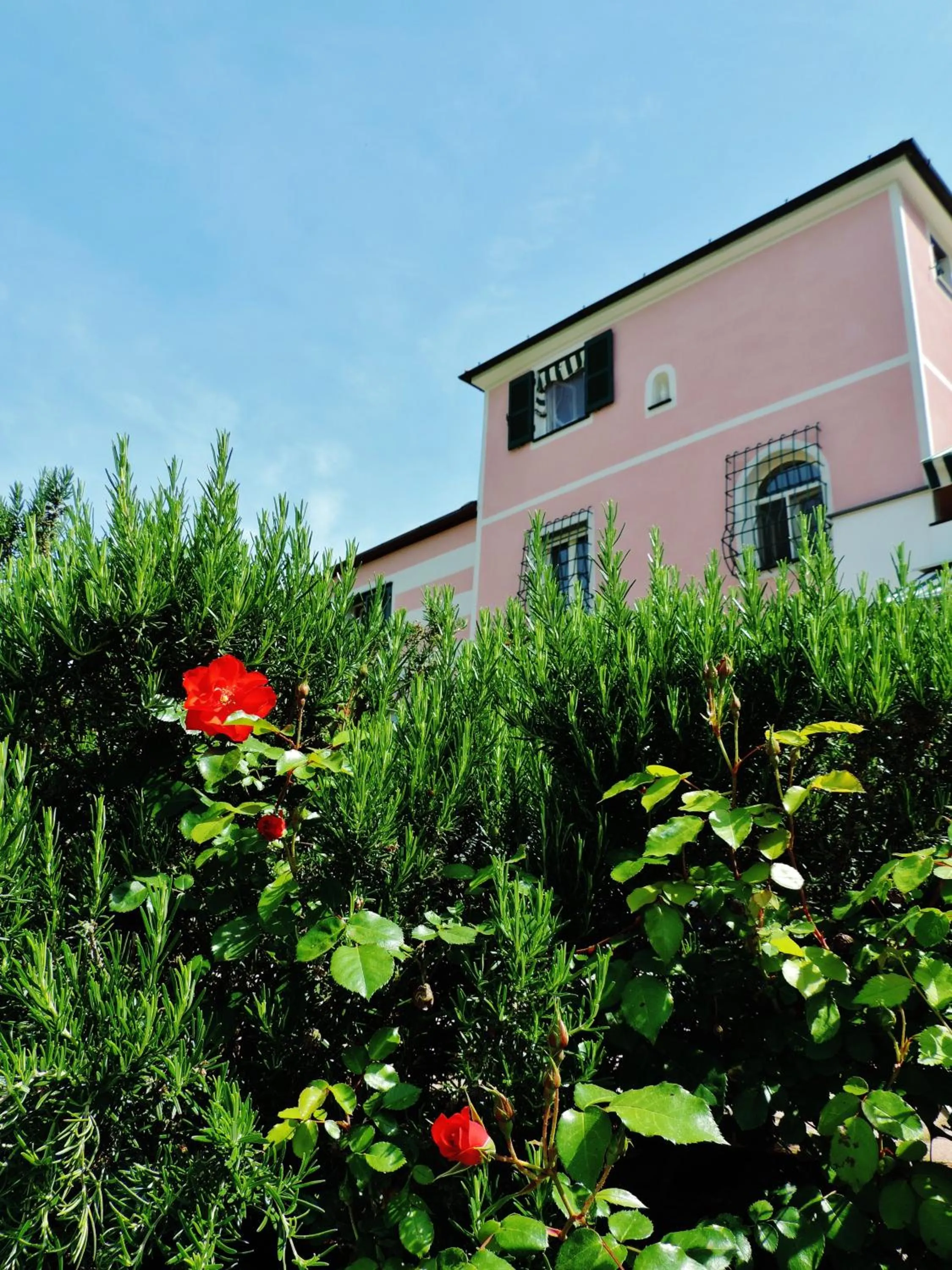 Property building in RosMarino