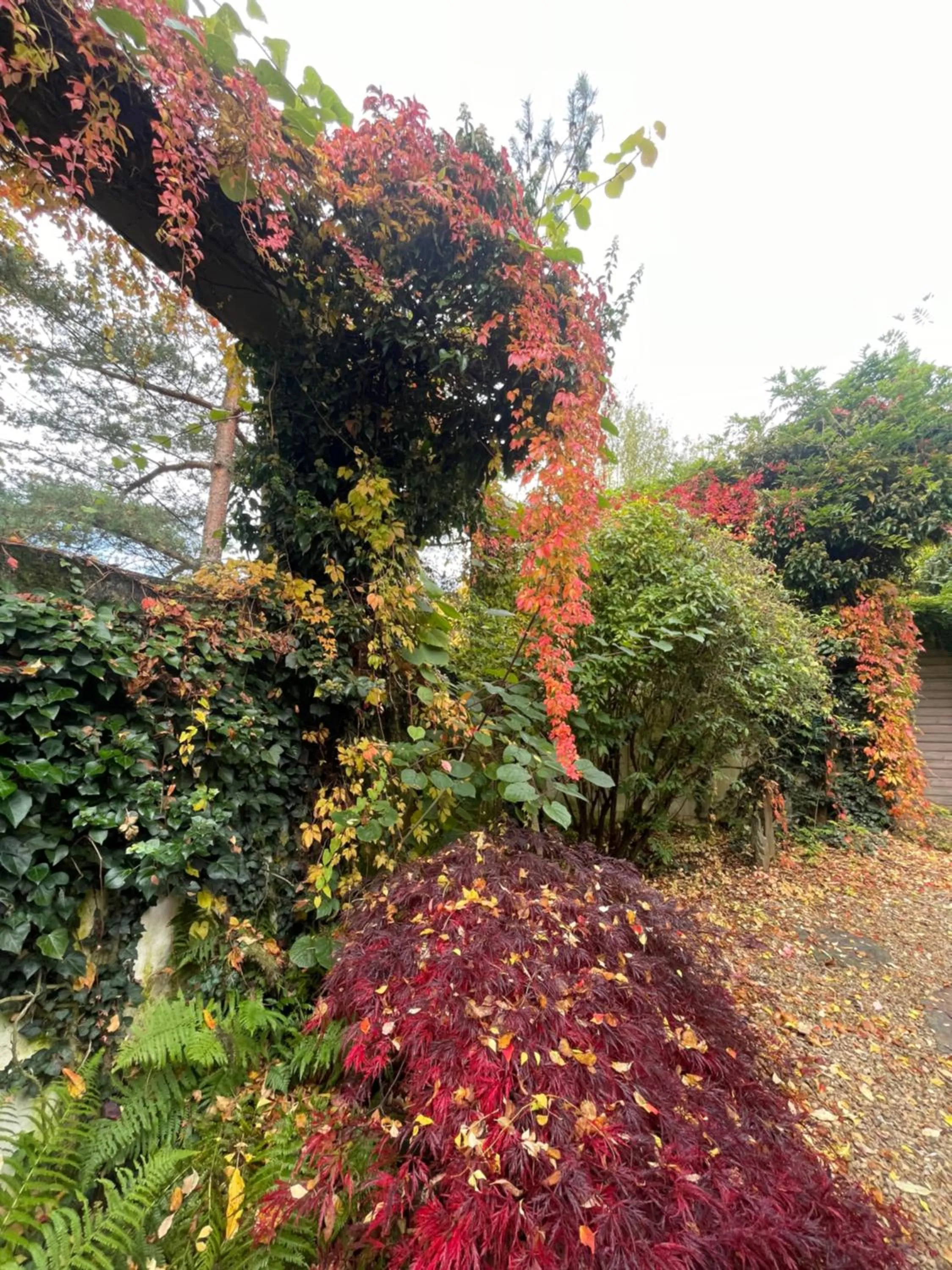 Patio in Room Art Lovers