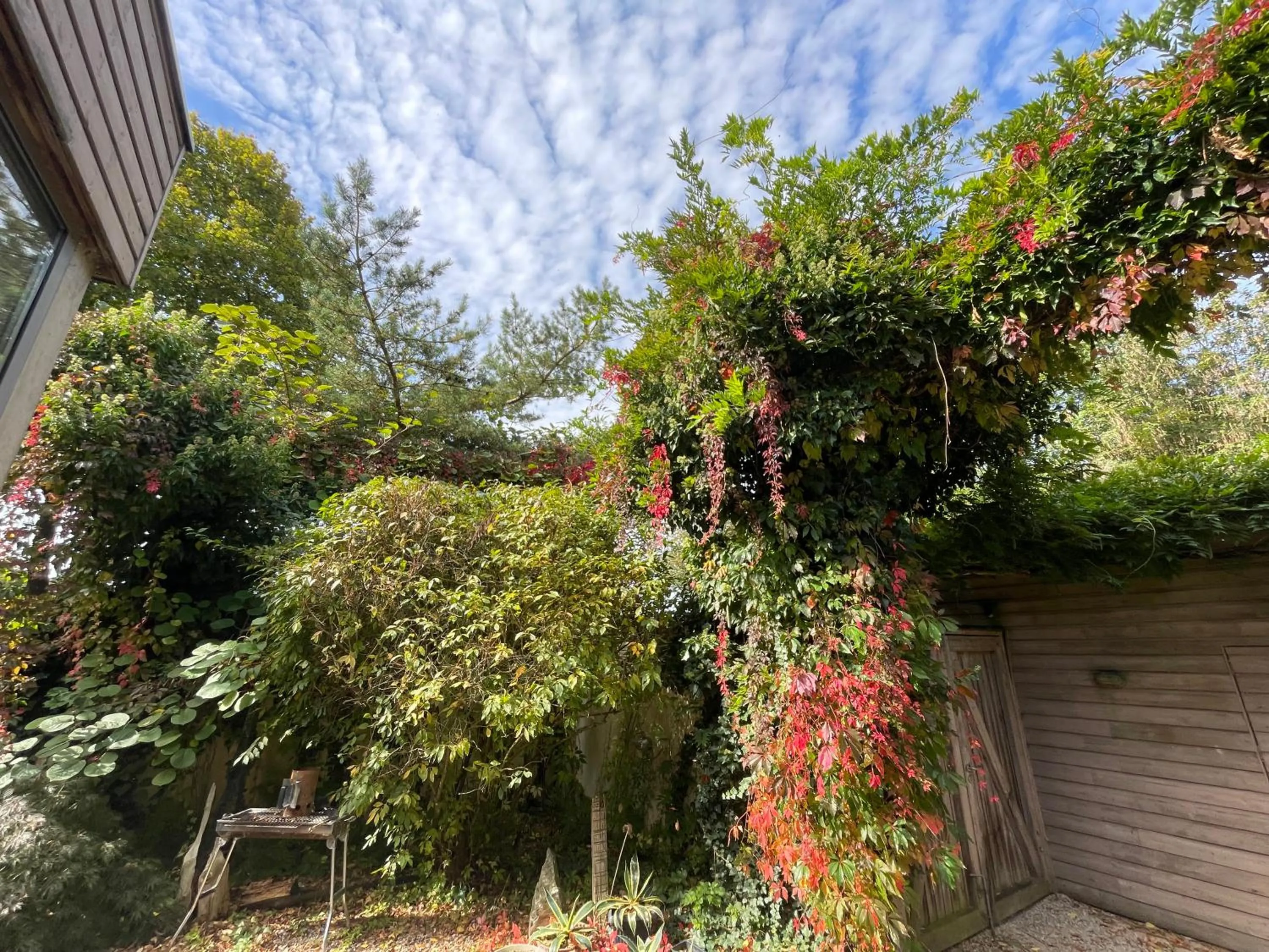 View (from property/room) in Room Art Lovers