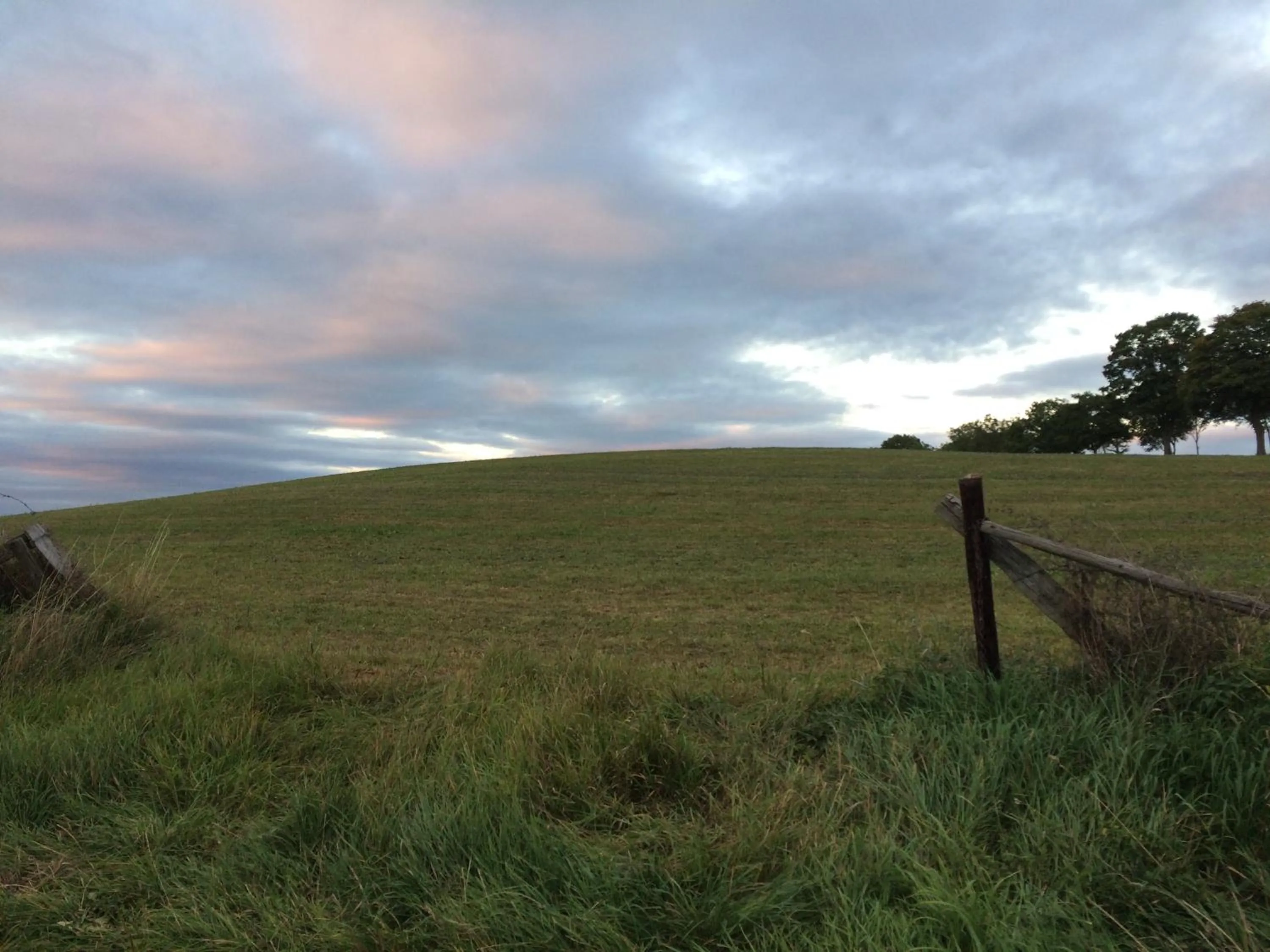 Hiking in Room Art Lovers
