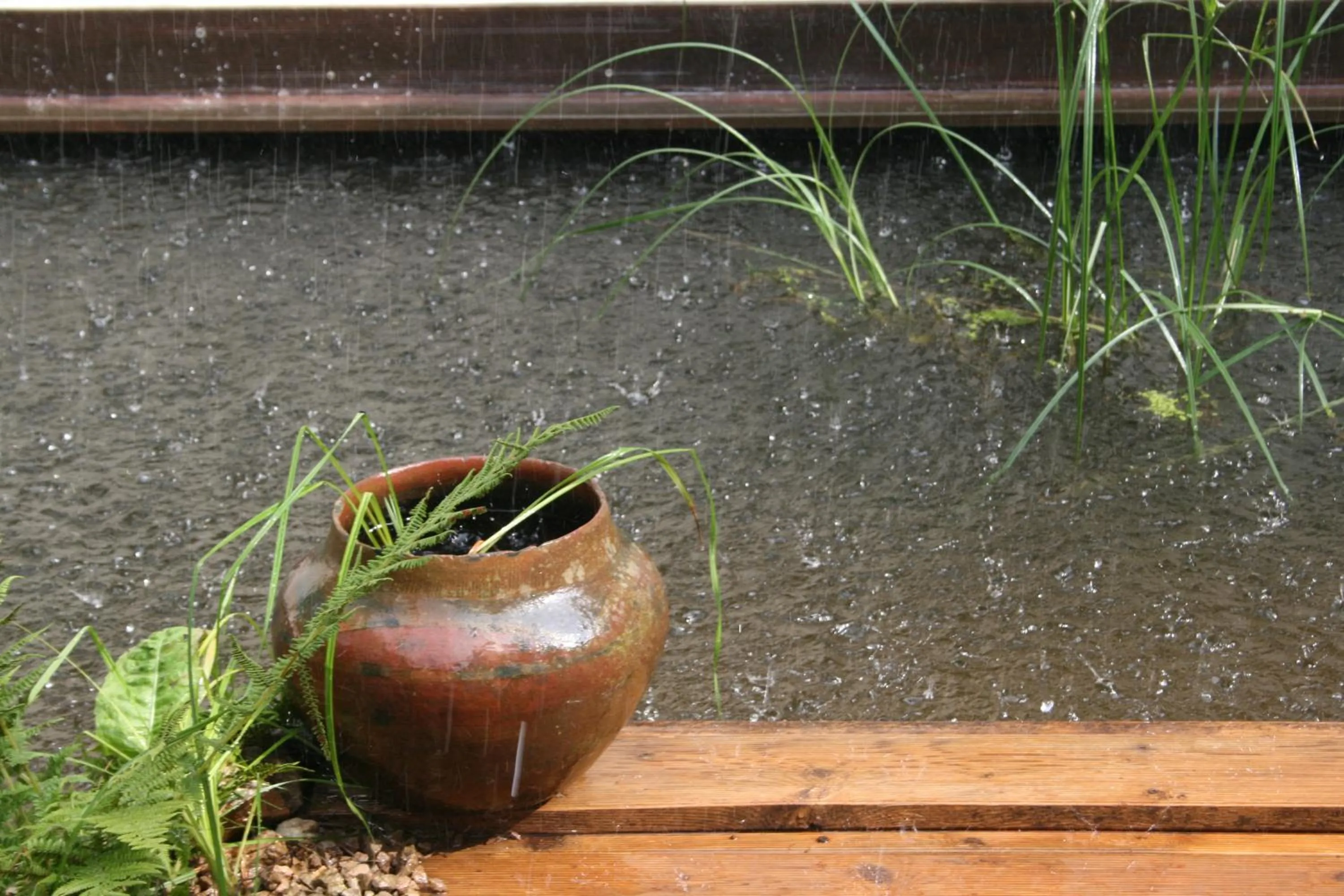 Animals in Room Art Lovers