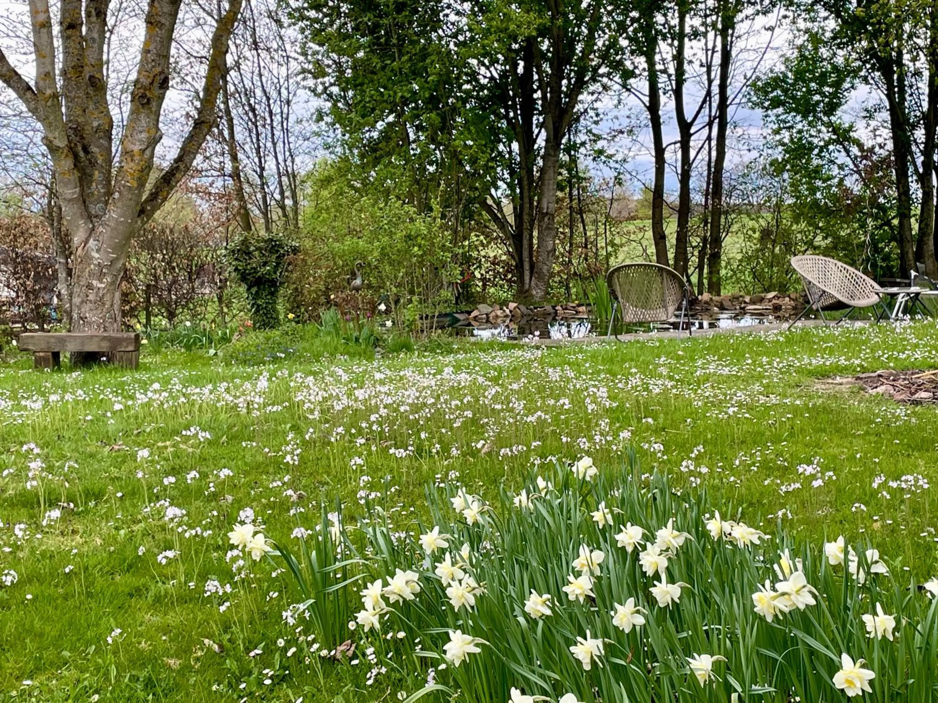Garden view in Room Art Lovers