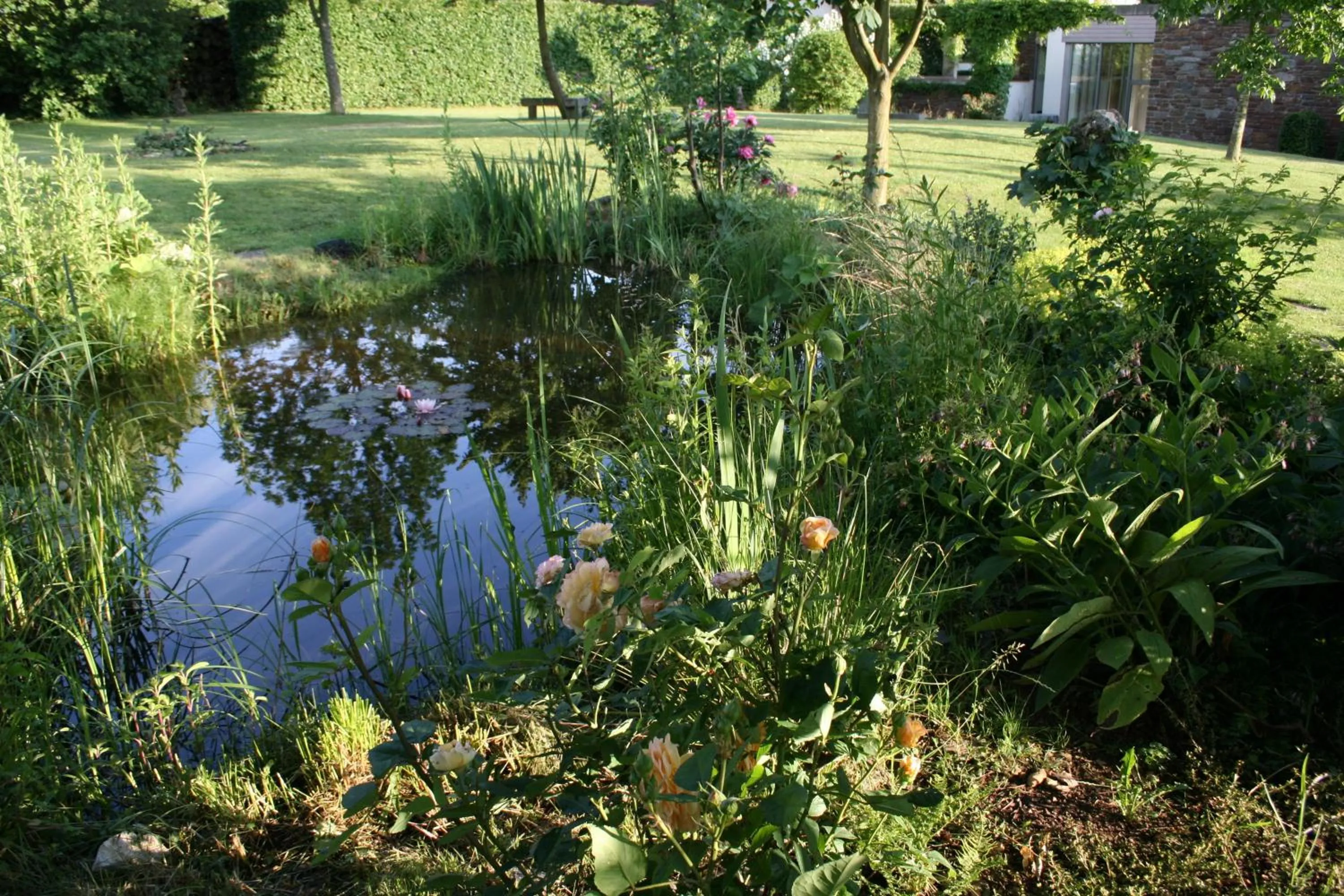 Garden in Room Art Lovers