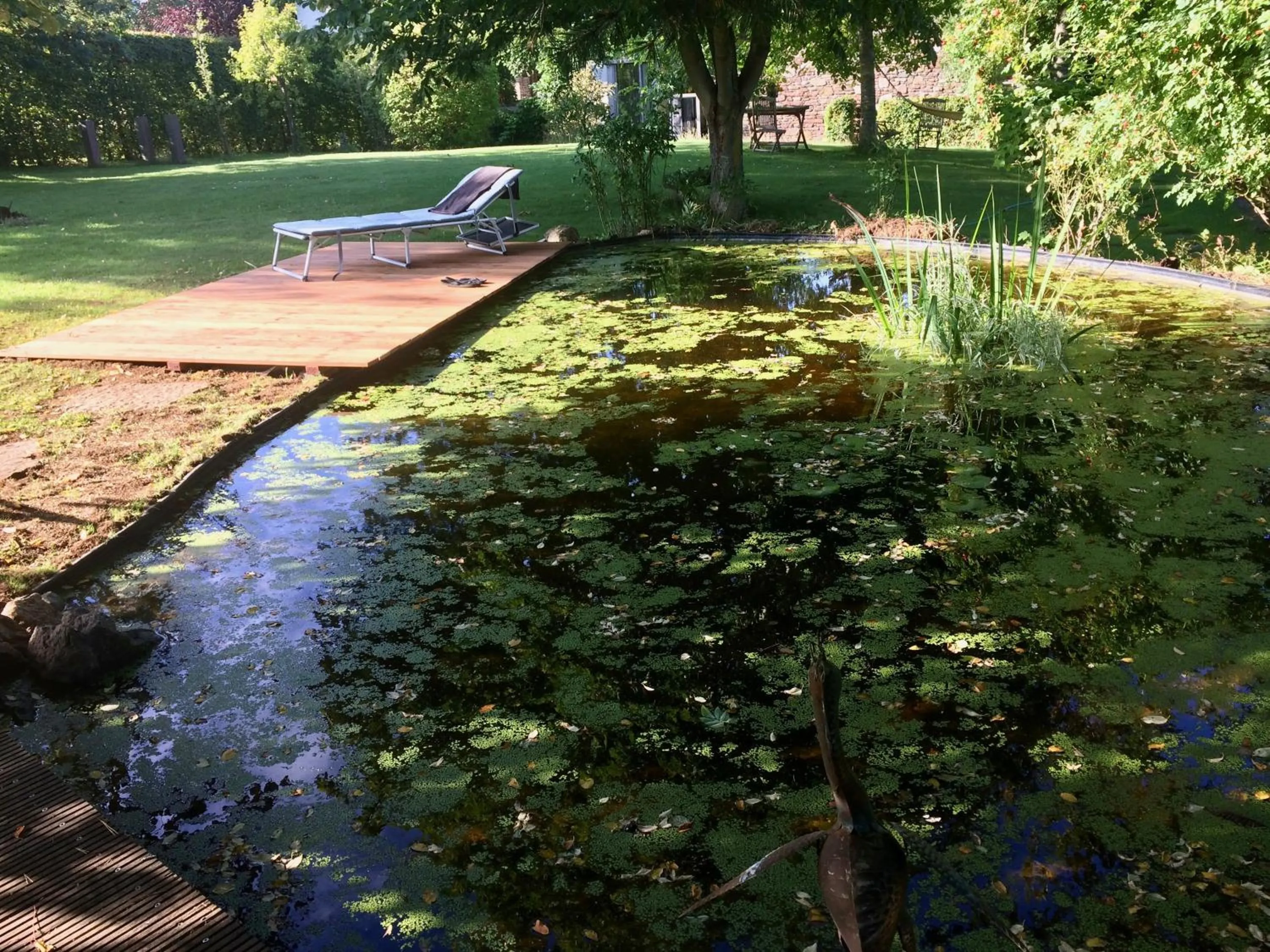 Garden in Room Art Lovers