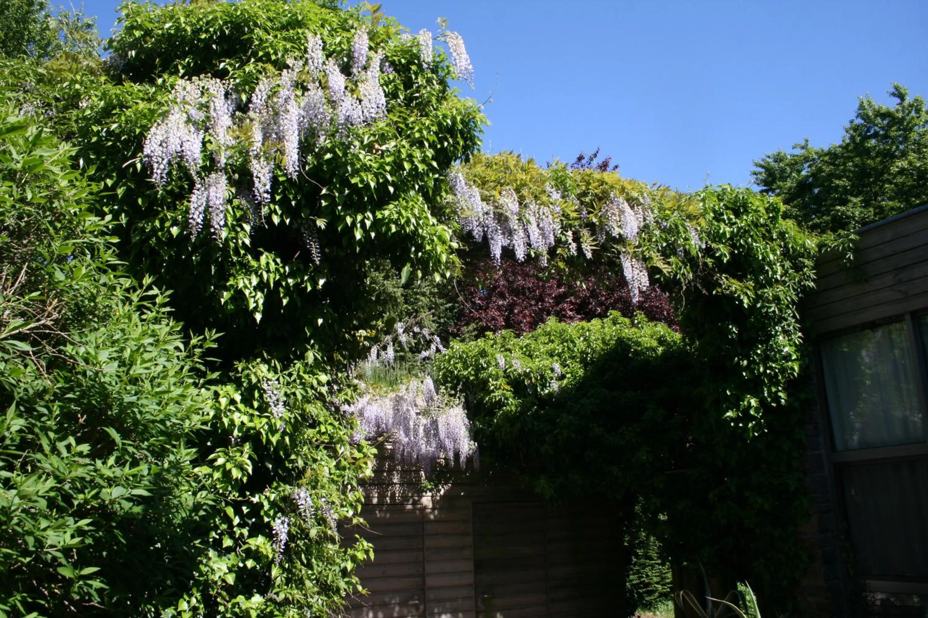 Patio in Room Art Lovers