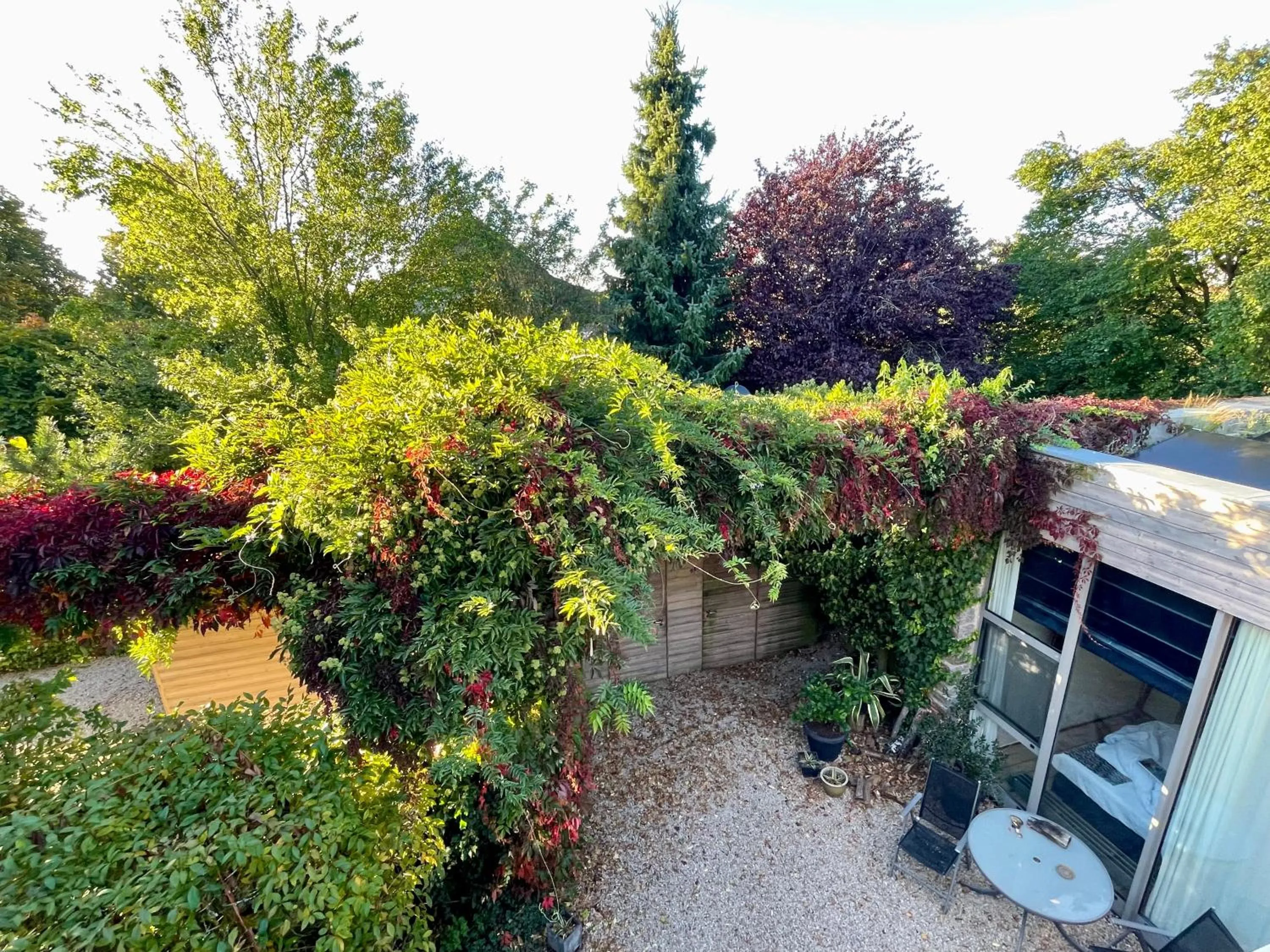 Patio in Room Art Lovers