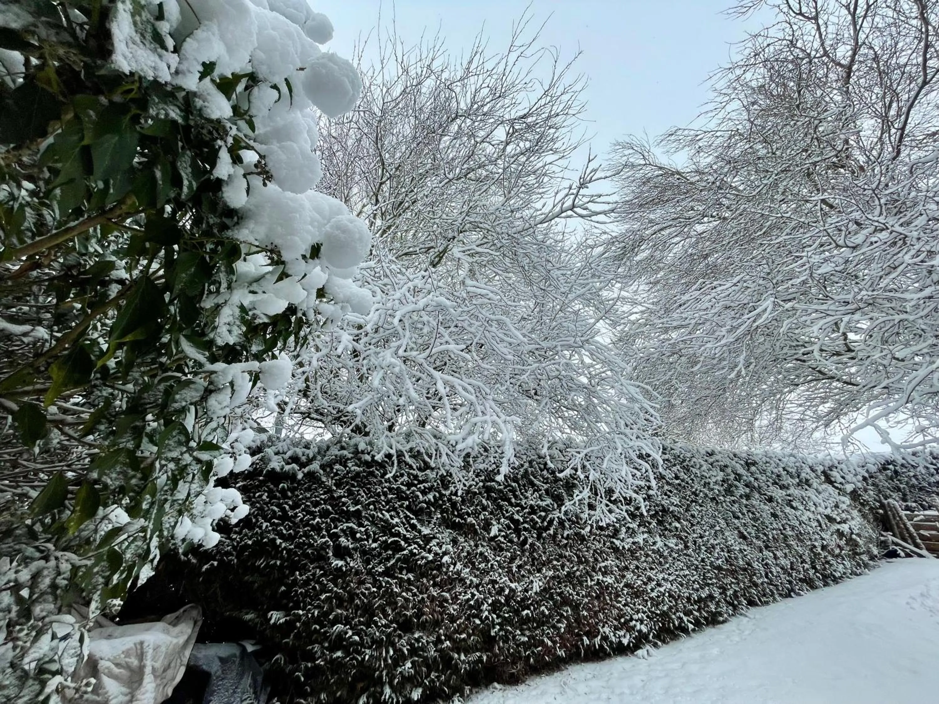 Day in Room Art Lovers