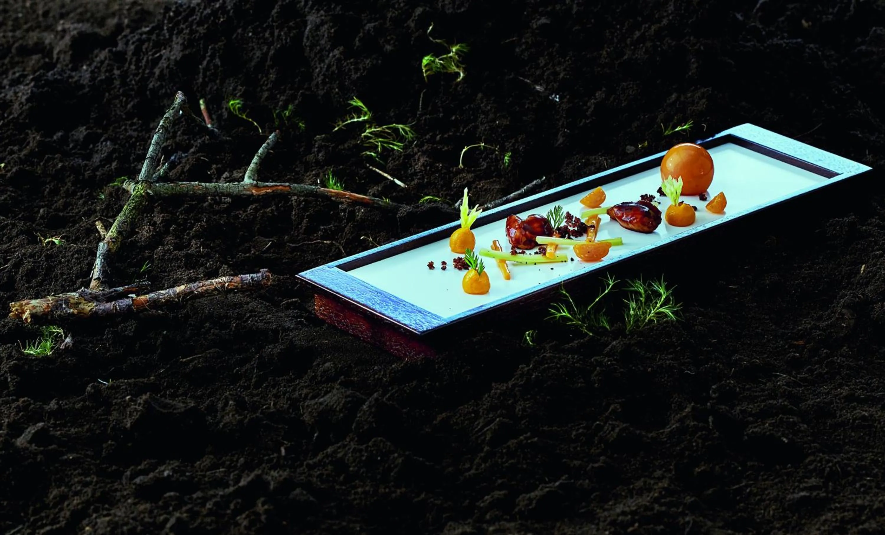 Food and drinks in Der Birkenhof Spa & Genuss Resort