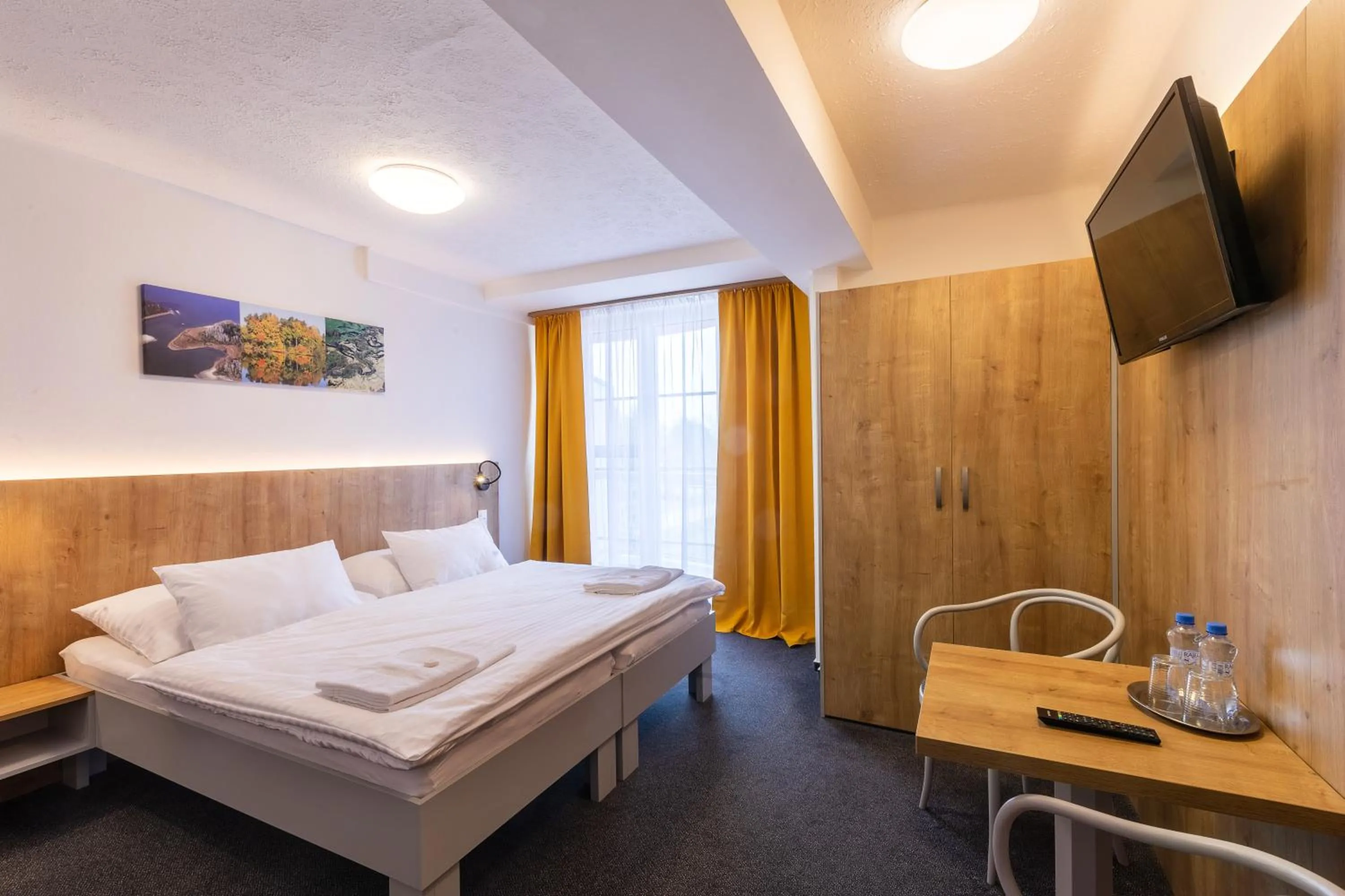 Large Double Room - single occupancy in Hotel Svět