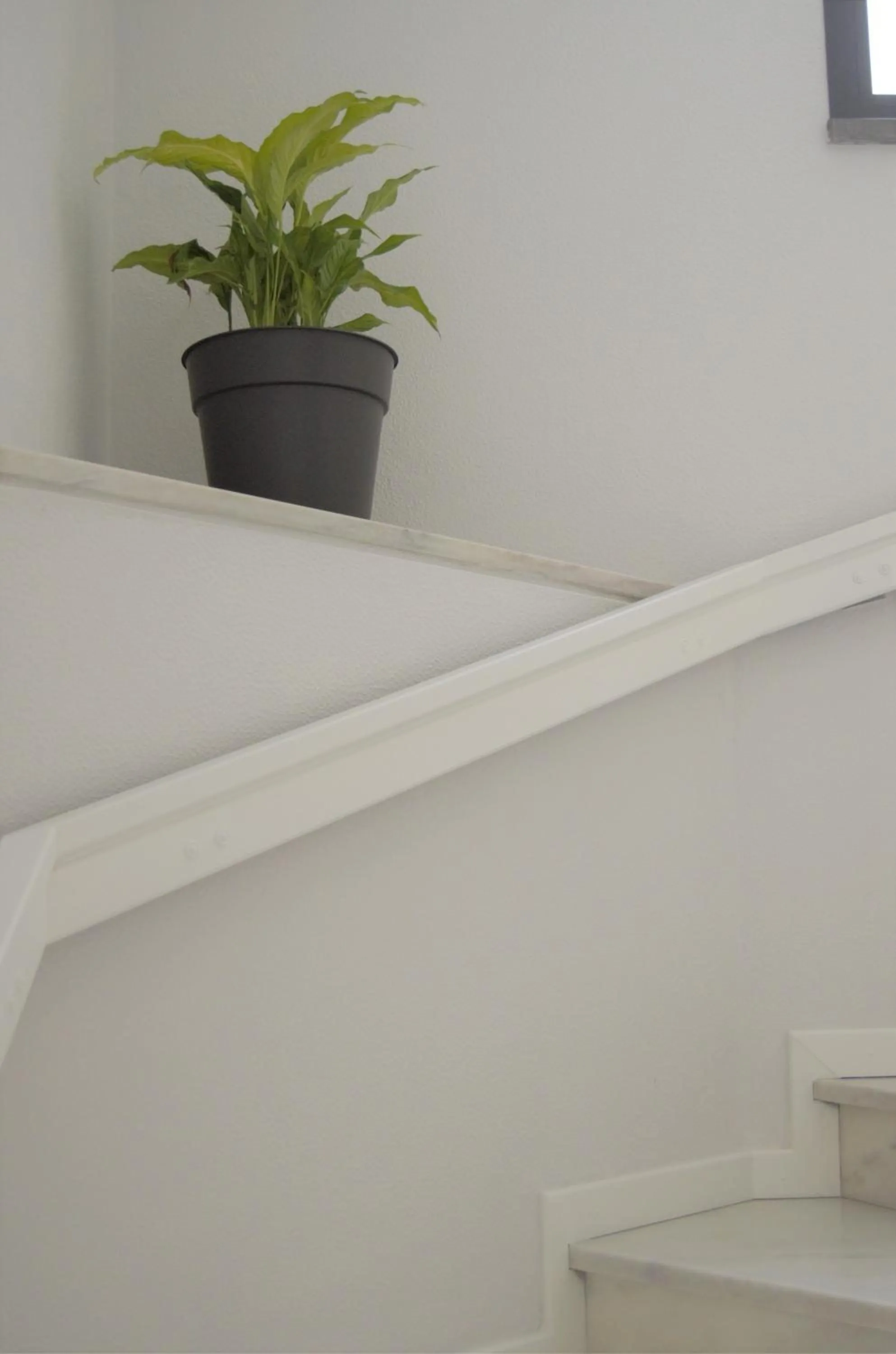 Decorative detail in Apartamentos Turísticos Vitoria by Petit Hotels