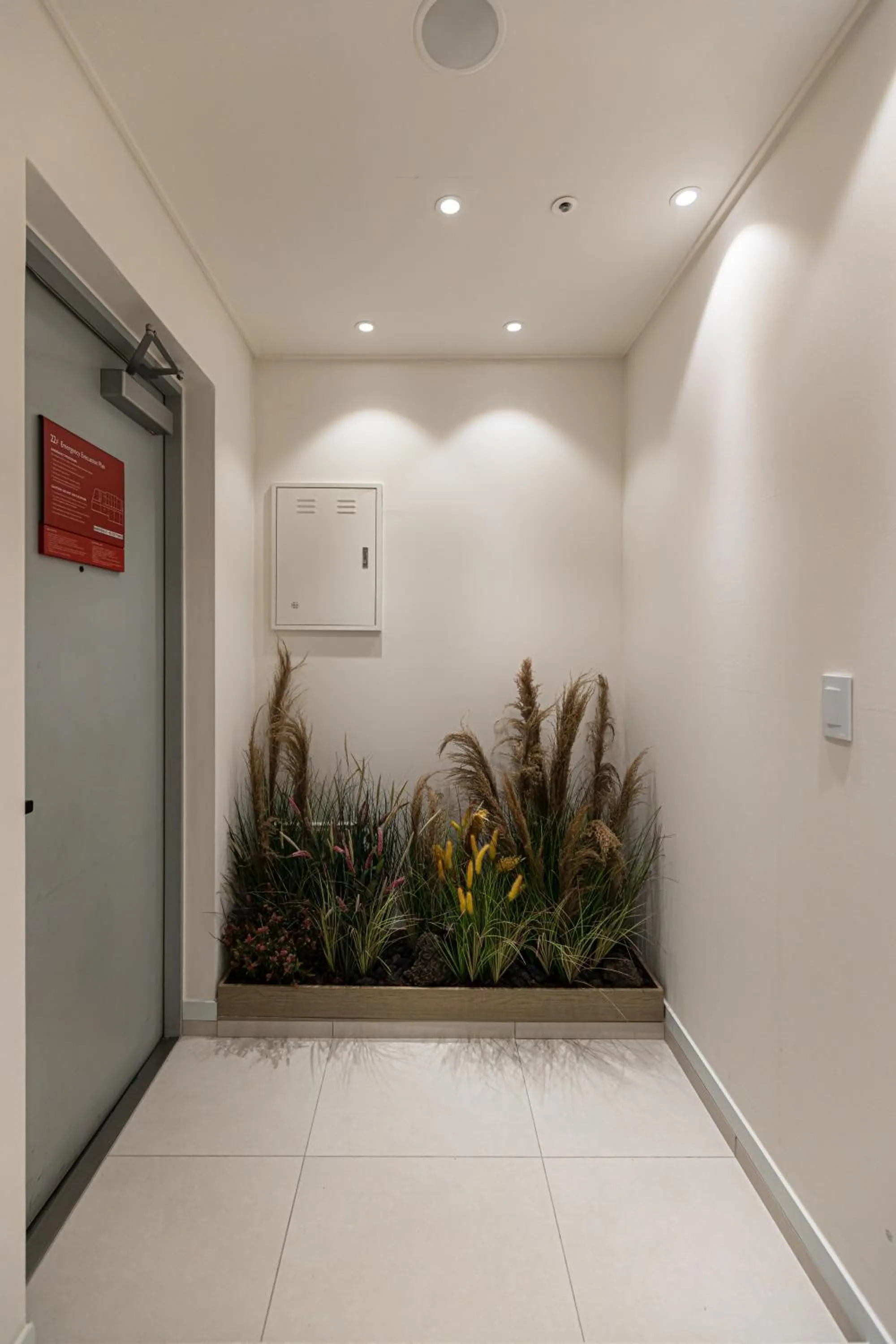 Photo of the whole room in Hotel Modak Namdaemun