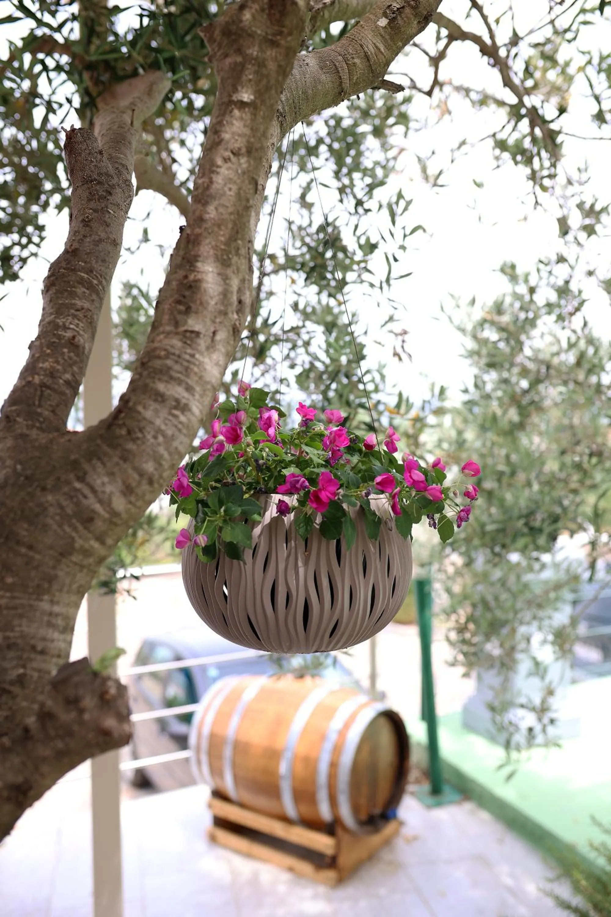 Natural landscape in Hotel Murter