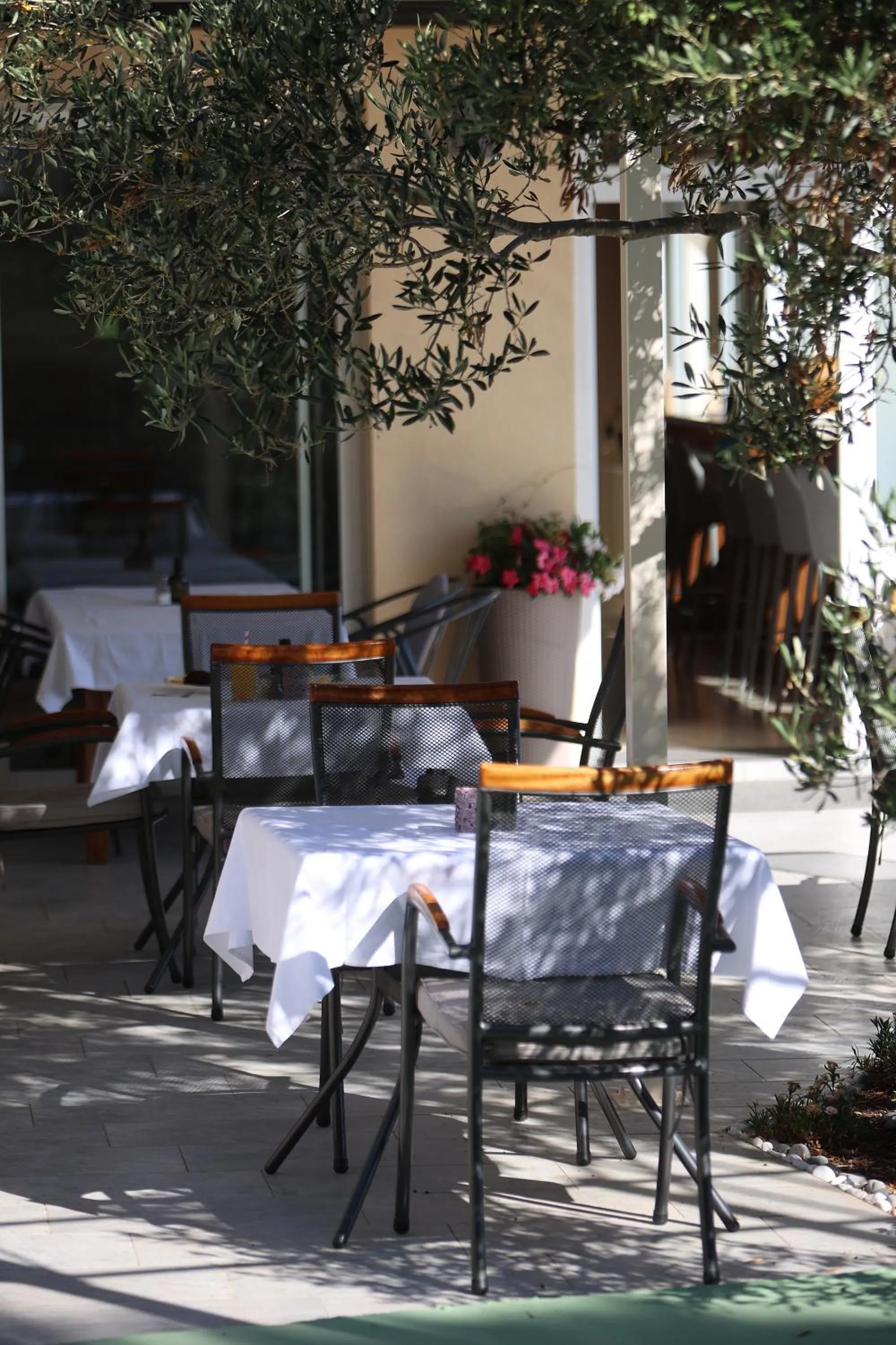 Restaurant/places to eat in Hotel Murter