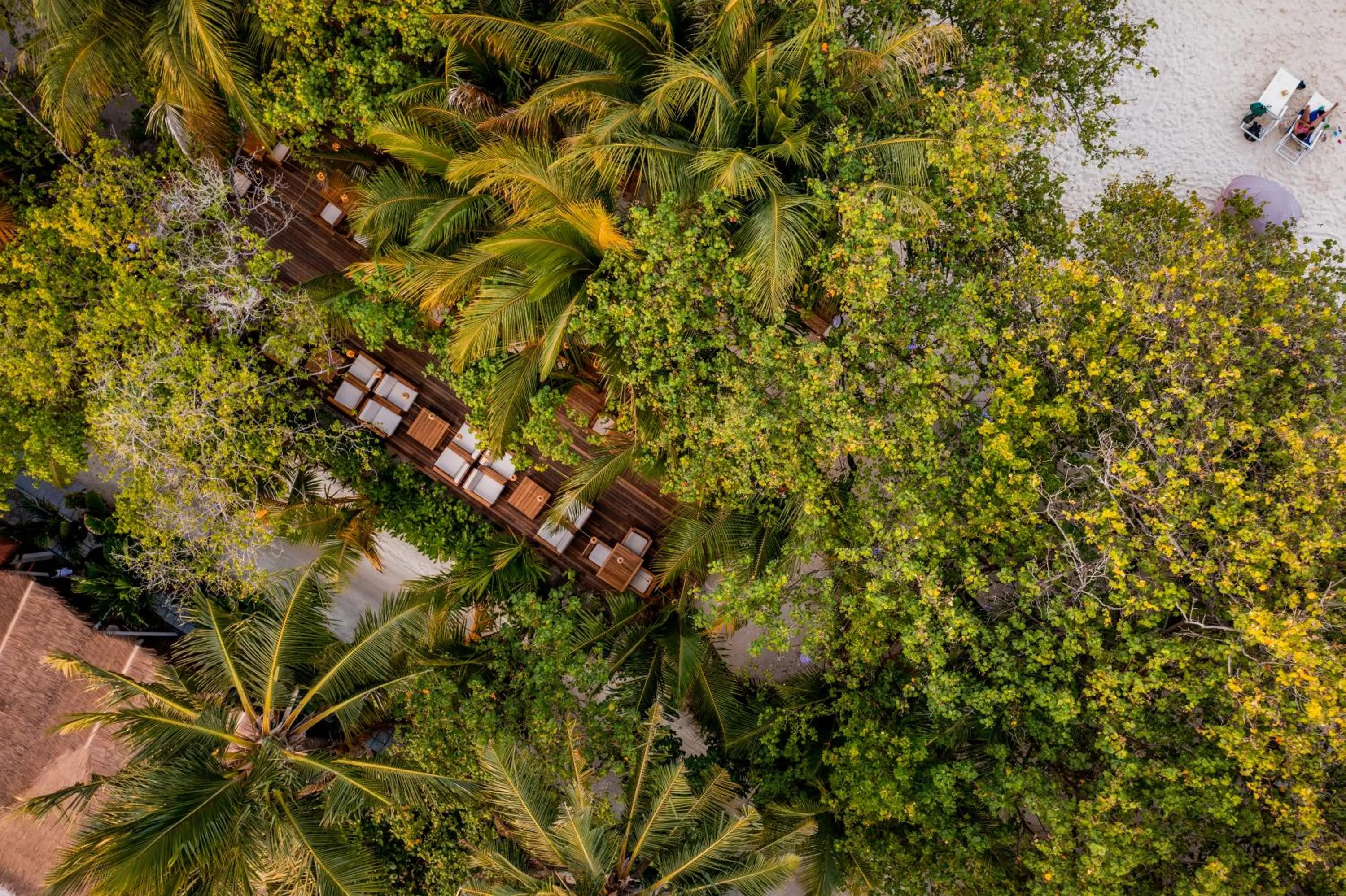 Restaurant/places to eat in ARIA Beach, Ukulhas
