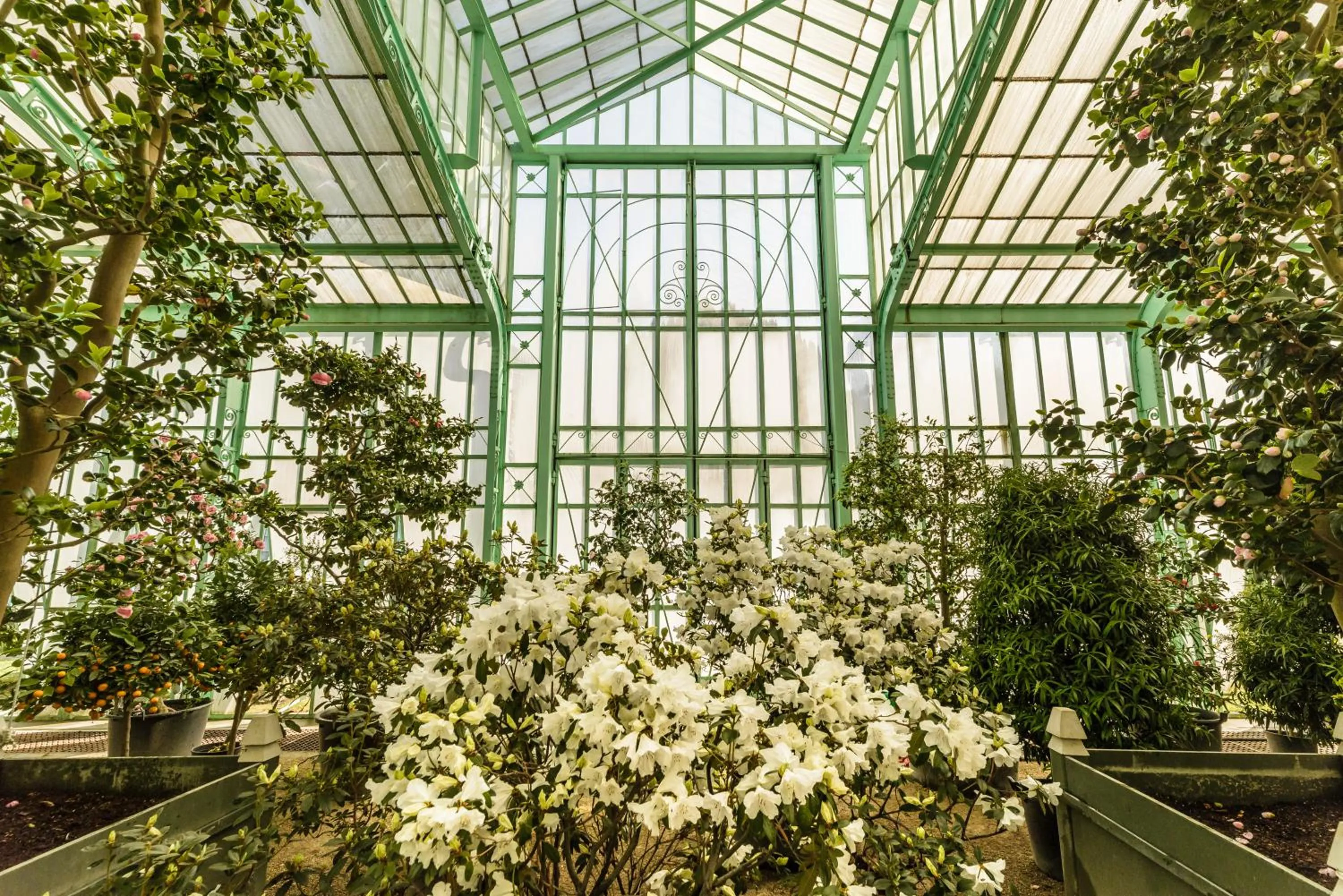 Spring in Hilton Garden Inn Brussels Airport