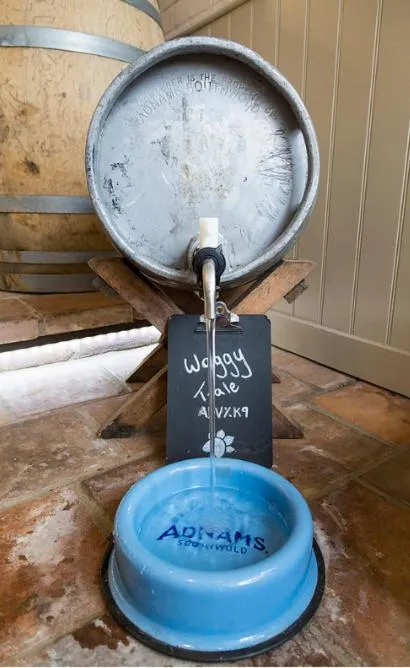 Property building in The White Horse Blakeney